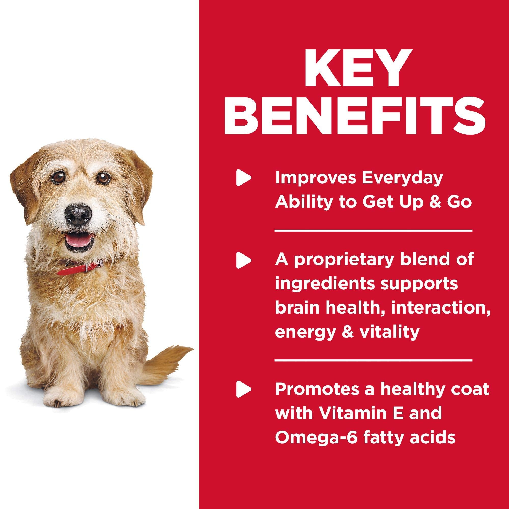 Hills Science Diet Senior Vitality, Senior Adult 7+, Small & Mini Breeds Senior Premium Nutrition, Dry Dog Food, Chicken & Rice