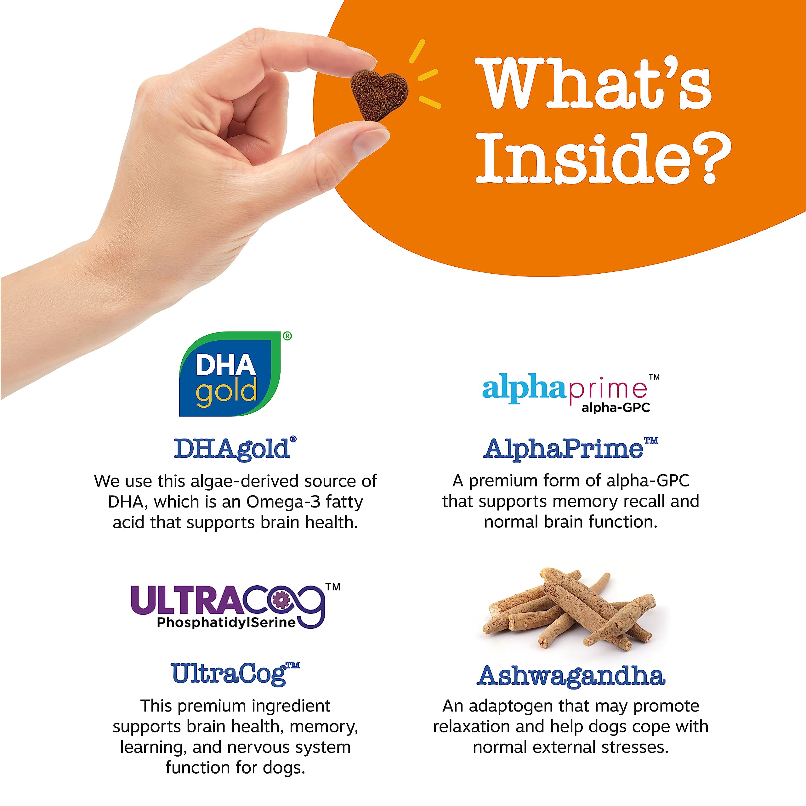 Zesty Paws Advanced Cognition Soft Chews for Dogs - with Omega 3 DHA, Ashwagandha & Alpha GPC - for Senior Dog Brain Health & Ne