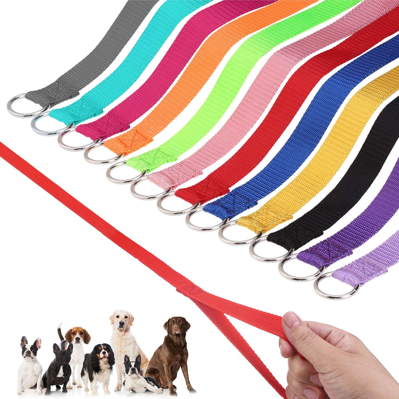 Homimp Slip Lead Dog Leash 6 Ft- 24 Pcs Bulk Colors Kennel Control Leashes For Small Medium Large Dogs Puppy Animal Rescue, Groo
