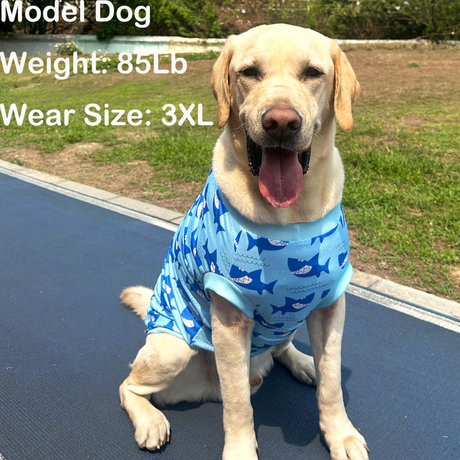 Dog Sleeveless T Shirt Shark Prints Vest Shirt Soft Stretchy Summer Clothes For Large Dog Boys Girls Shirt X-Large,Shark