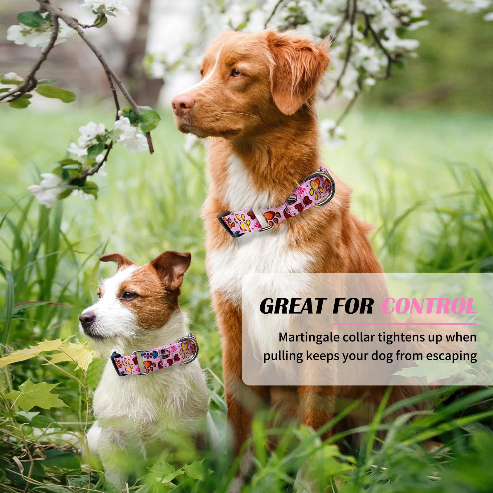 Hikiko Martingale Collar For Dogs Cute Girl Pink Dog Collars With Anti Pulling Dog Collar For Small Medium Large Dog(Pink Bowl,M