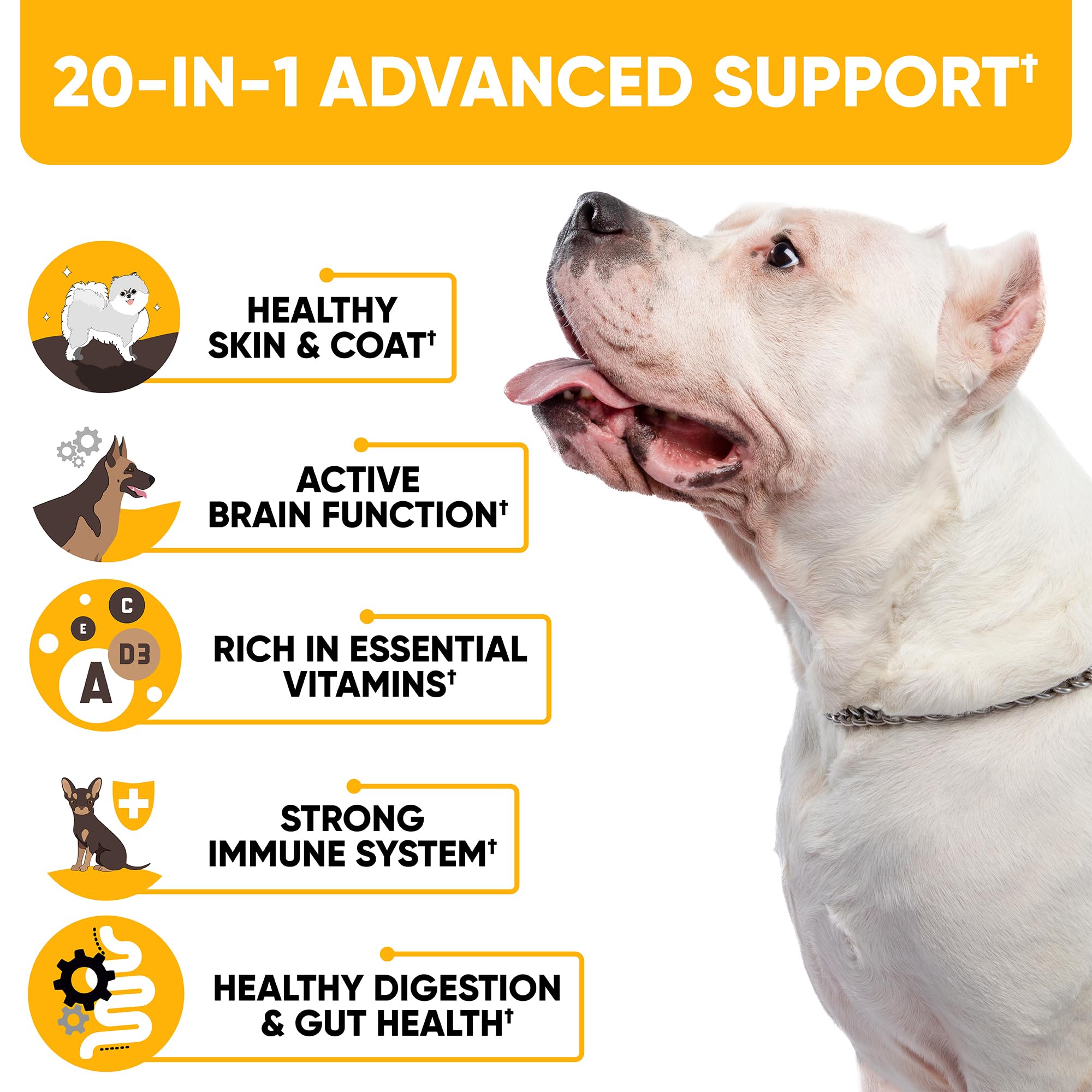 20-in-1 Dog Multivitamin Supplements - Immunity, Digestion, Joint and Heart Health Support - Natural Dog Vitamins with Biotin, M