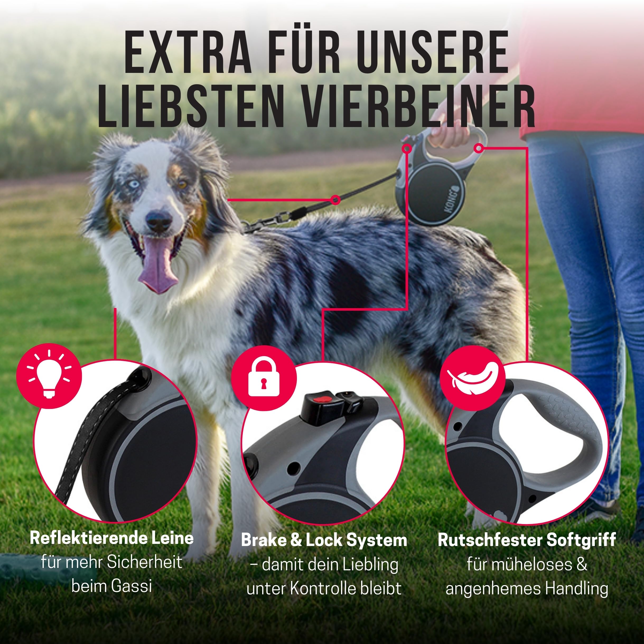 Alcott KONG Terrain Retractable Dog Leash, Medium, Grey, 16' Long.