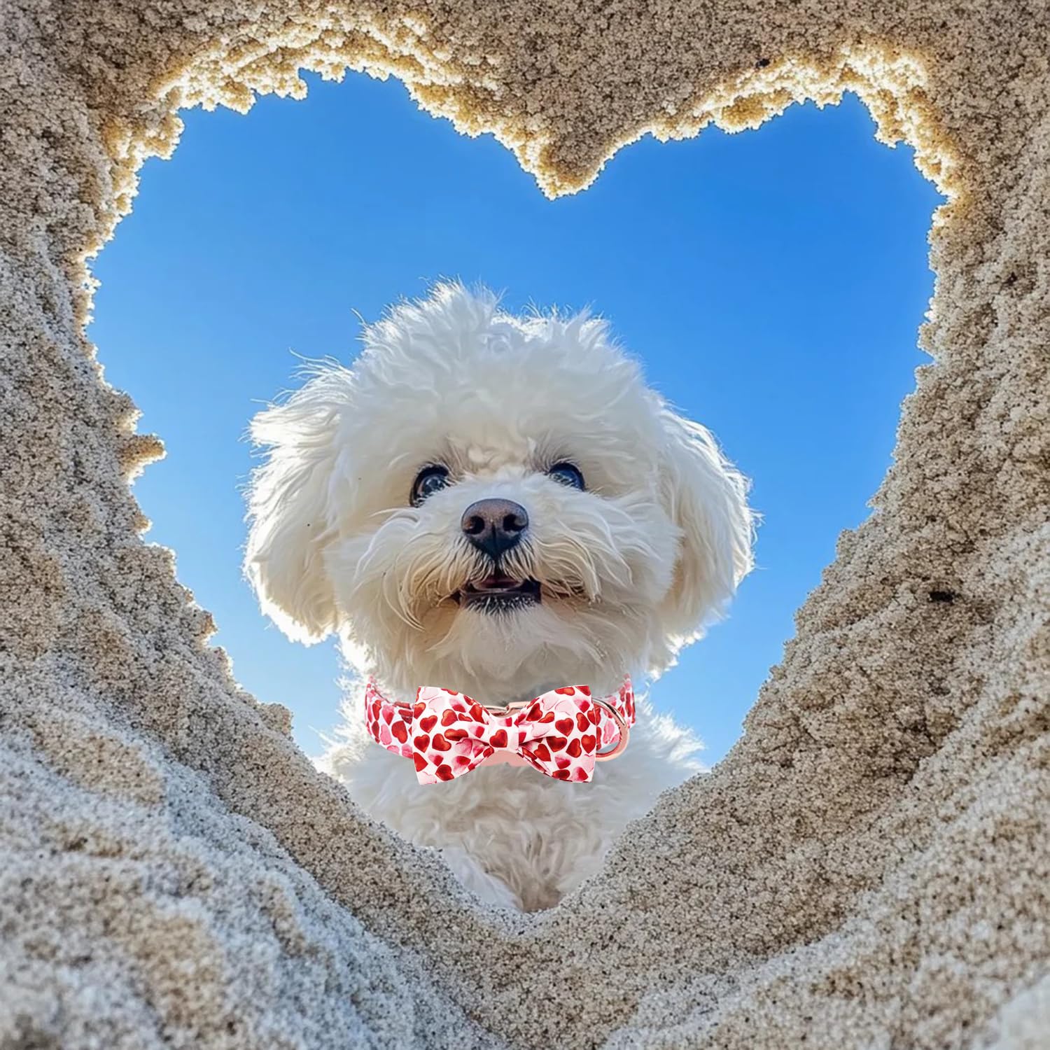 Maca Bates Valentine Day Love You Sweet Heart Dog Collar With Bow Tie For Dogs Valentines Bowtie Soft Adjustable Breakaway Red C