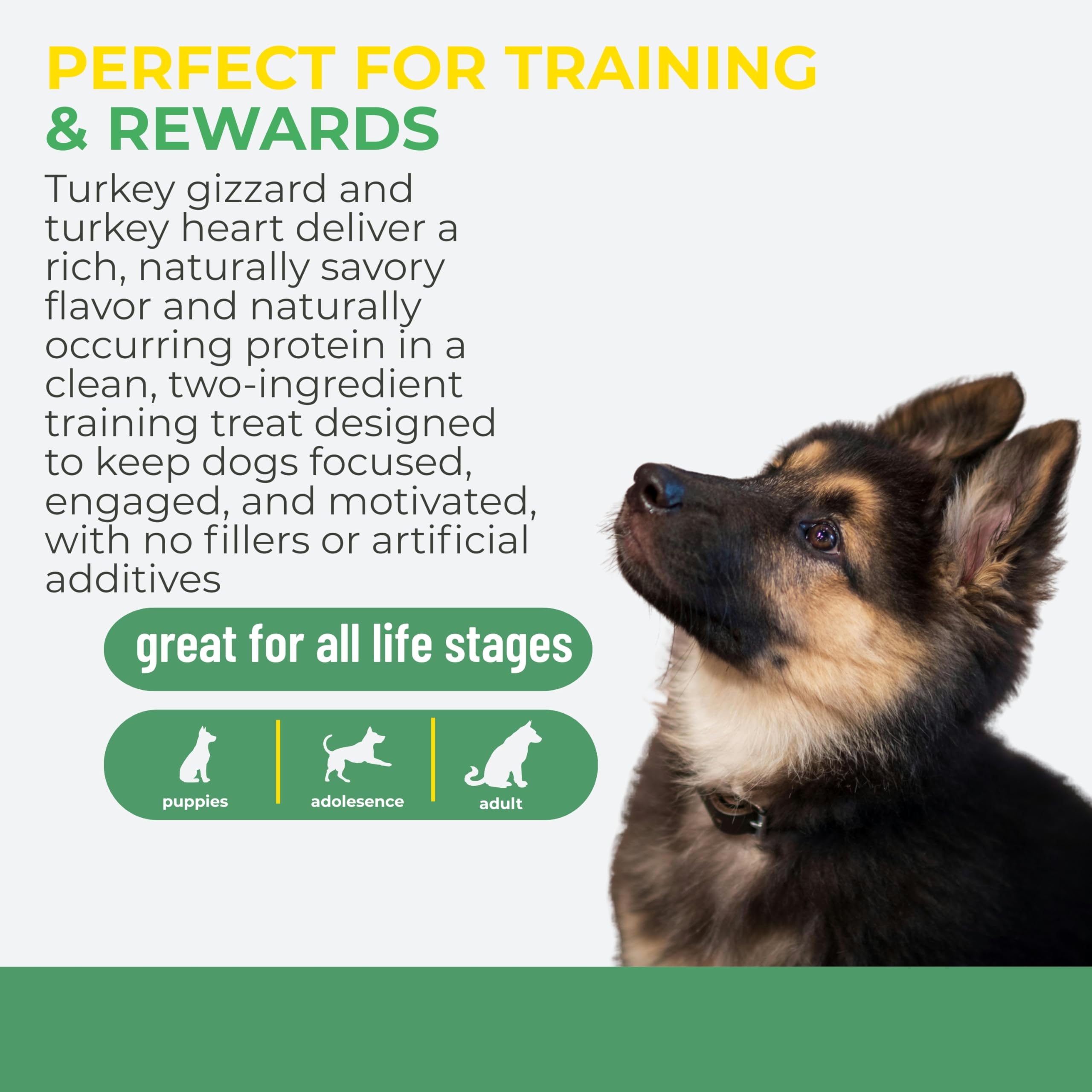 Momentum Carnivore Nutrition Freeze-Dried Turkey Training Bites - Two Ingredients-Turkey Gizzards and Hearts, All-Natural Dog Tr