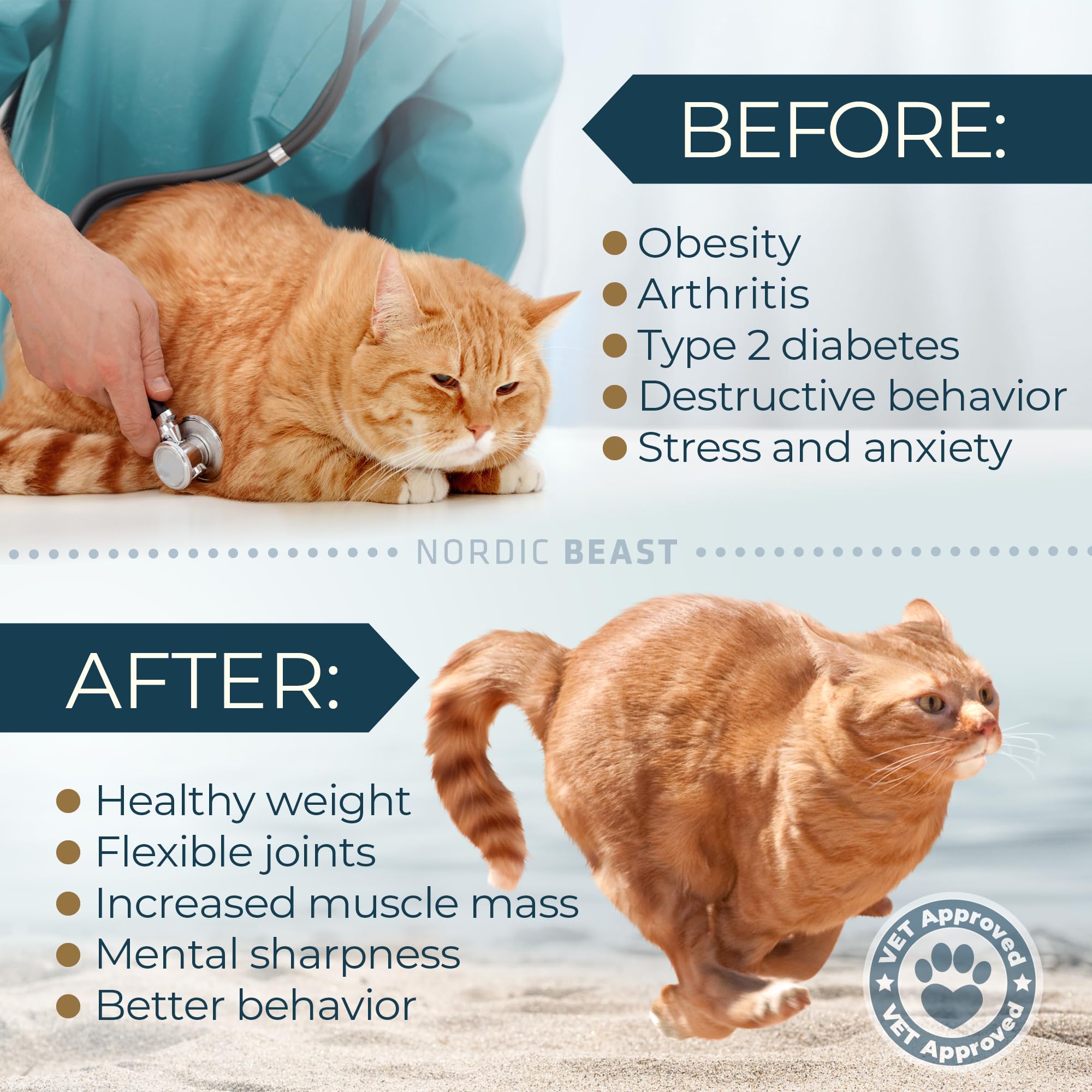 Nordic Beast 48'' Xl Cat Wheel - Cat Wheels For Indoor Cats Which Doesn'T Negatively Affect Your Cat'S Spine - 15.7'' Extra Wide