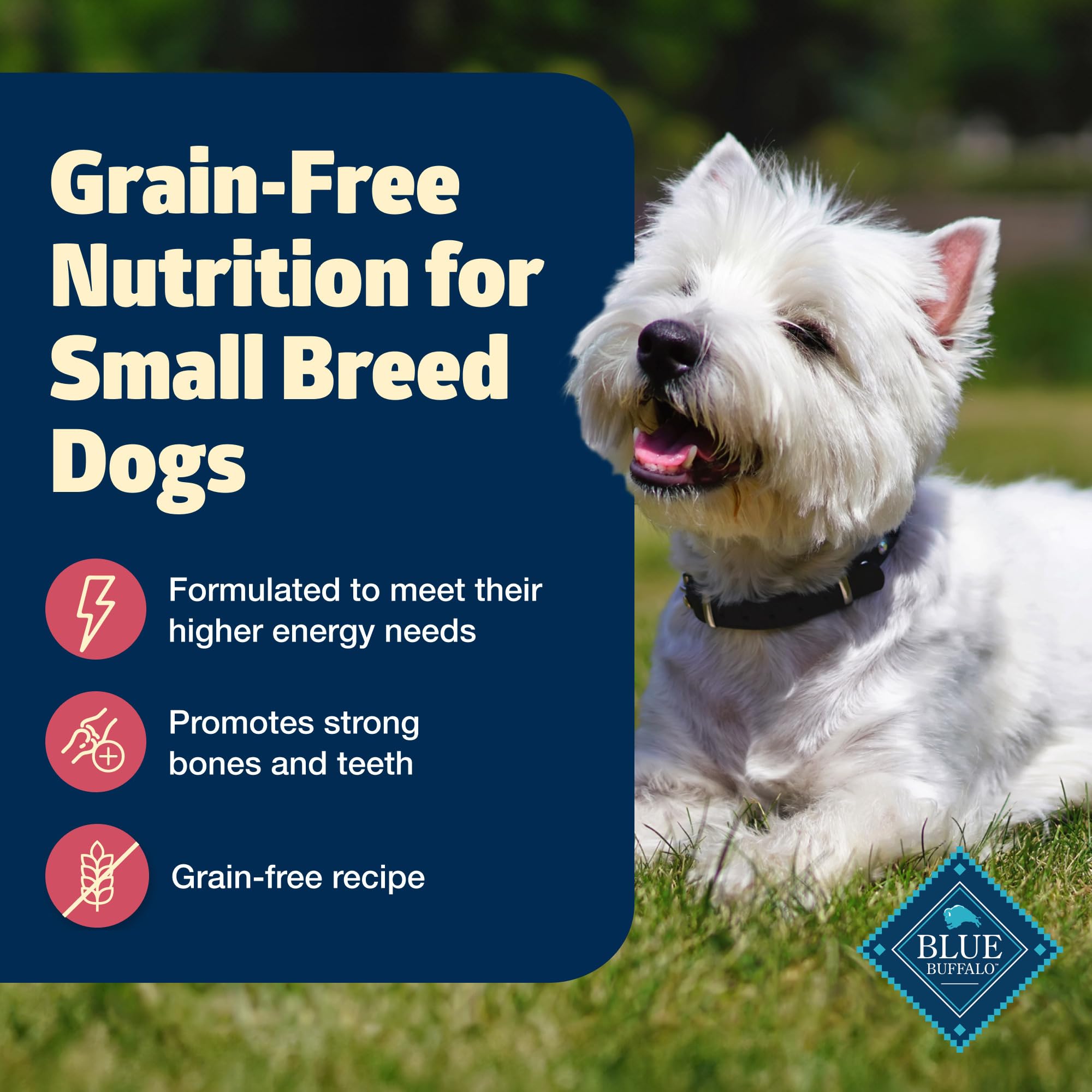 Blue Buffalo Freedom Grain Free Natural Adult Small Breed Dry Dog Food, Chicken 4-lb