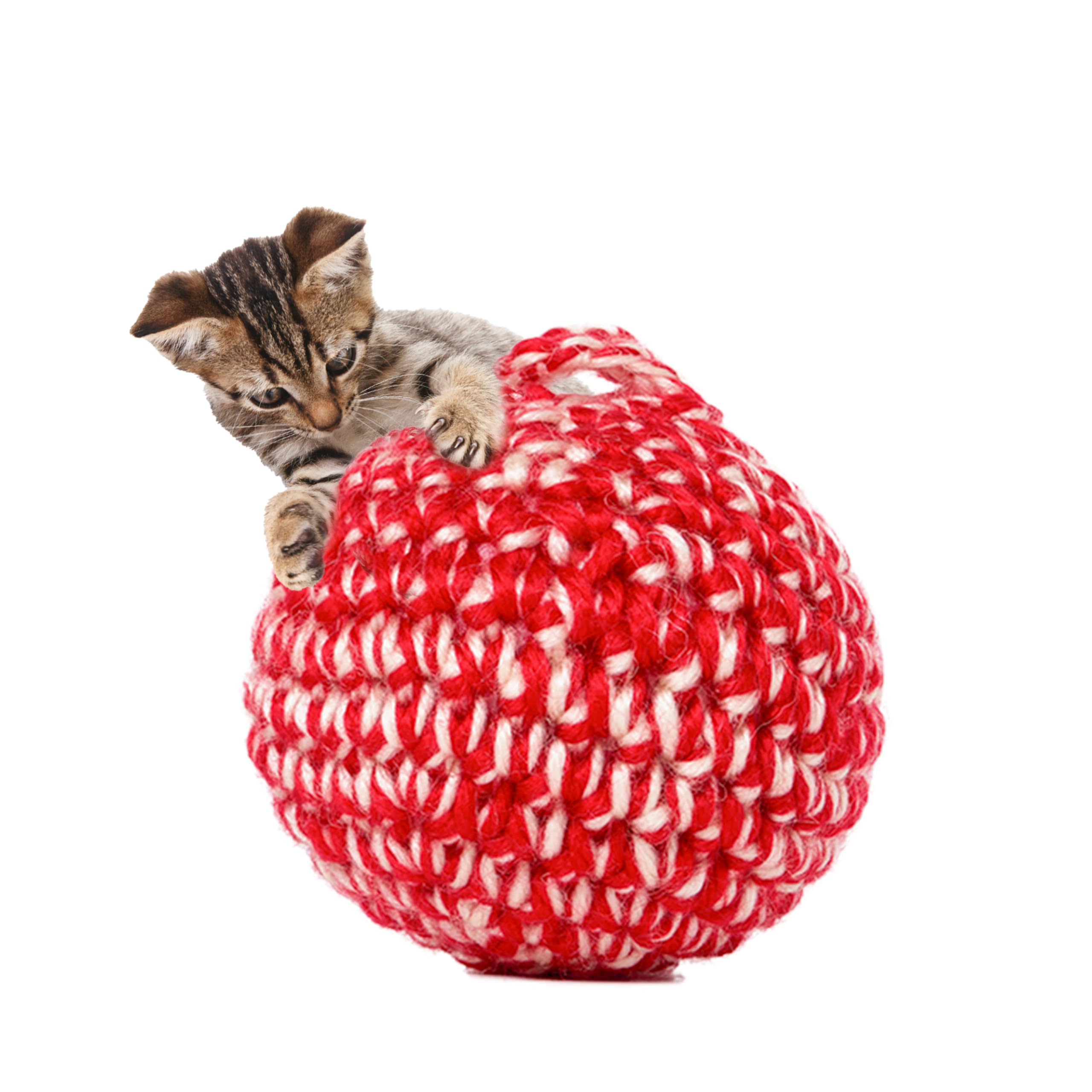Jayu Pet Red Cat Ball [W/Bell Version] - Handmade Silvervine Cat Toy With Catnip, Interactive Matatabi Ball For Indoor Cats & Ki