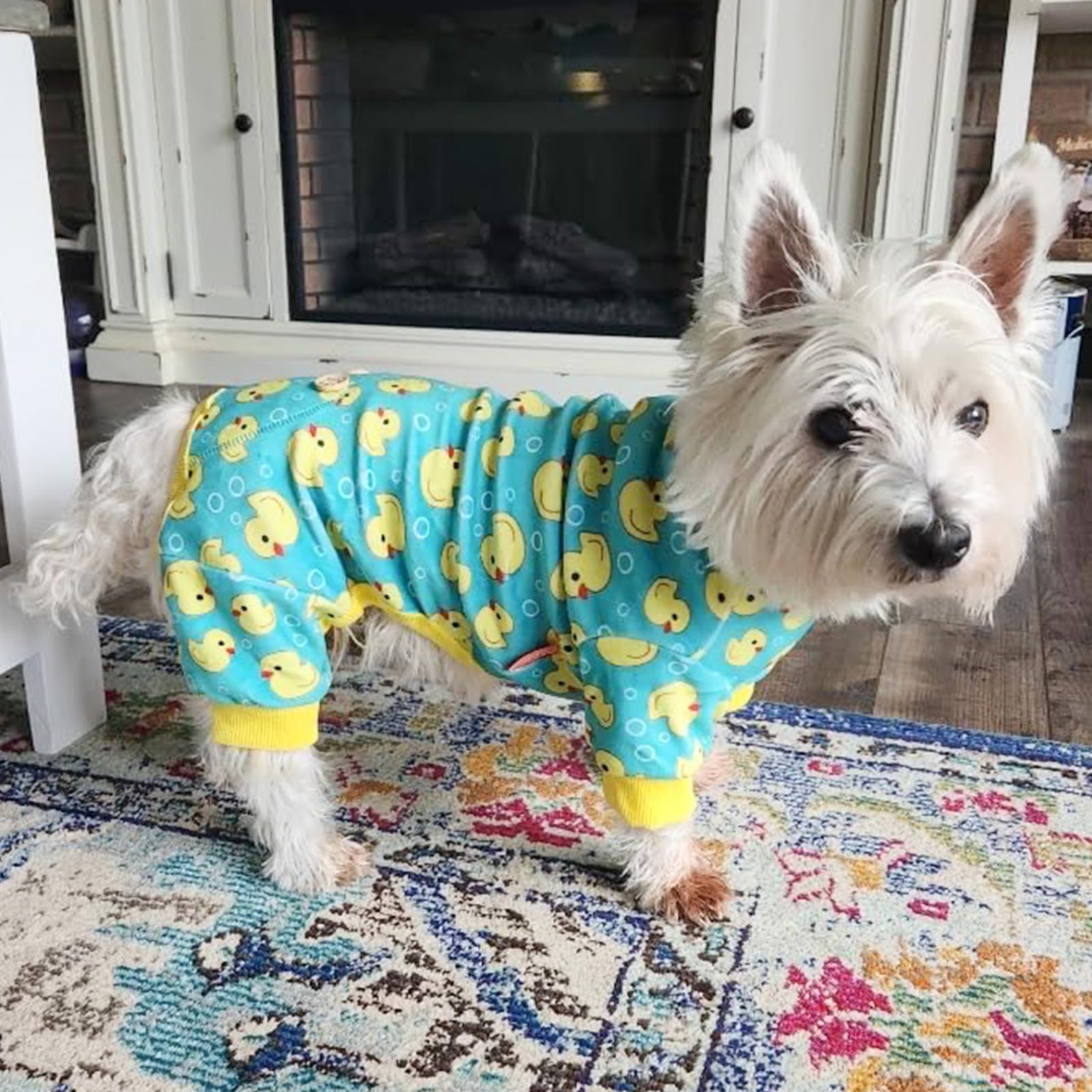 Kyeese Dog Pajamas Soft Outfit Velvet Pjs Comfy Clothes For Dogs Boy Girl Stretchy Pet Jammies Onesie Small Dog Pajamas With Col