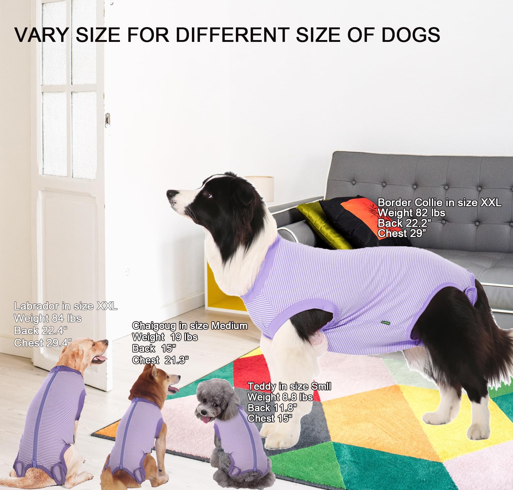 Sychien Dog Recovery Suit Purple Female Spay Surgical Small Shirt, Male Surgery Recovery Suit,Purple-White Striped Xs