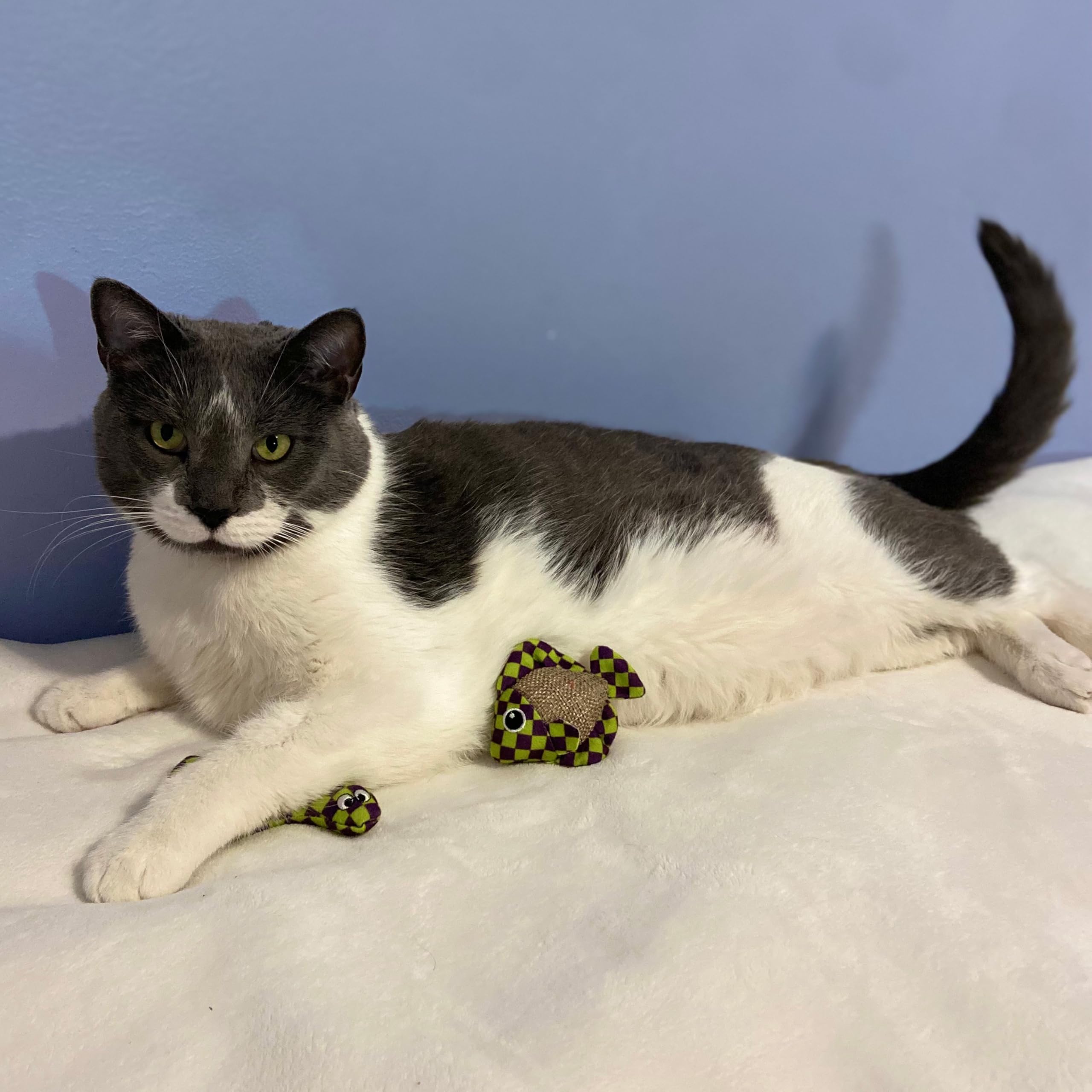 Spot Catch N' Release Cat Toy With Irresistible Texture And Catnip, Indoor Cat Essentials, For Cats And Kittens, 2 Assorted Figures