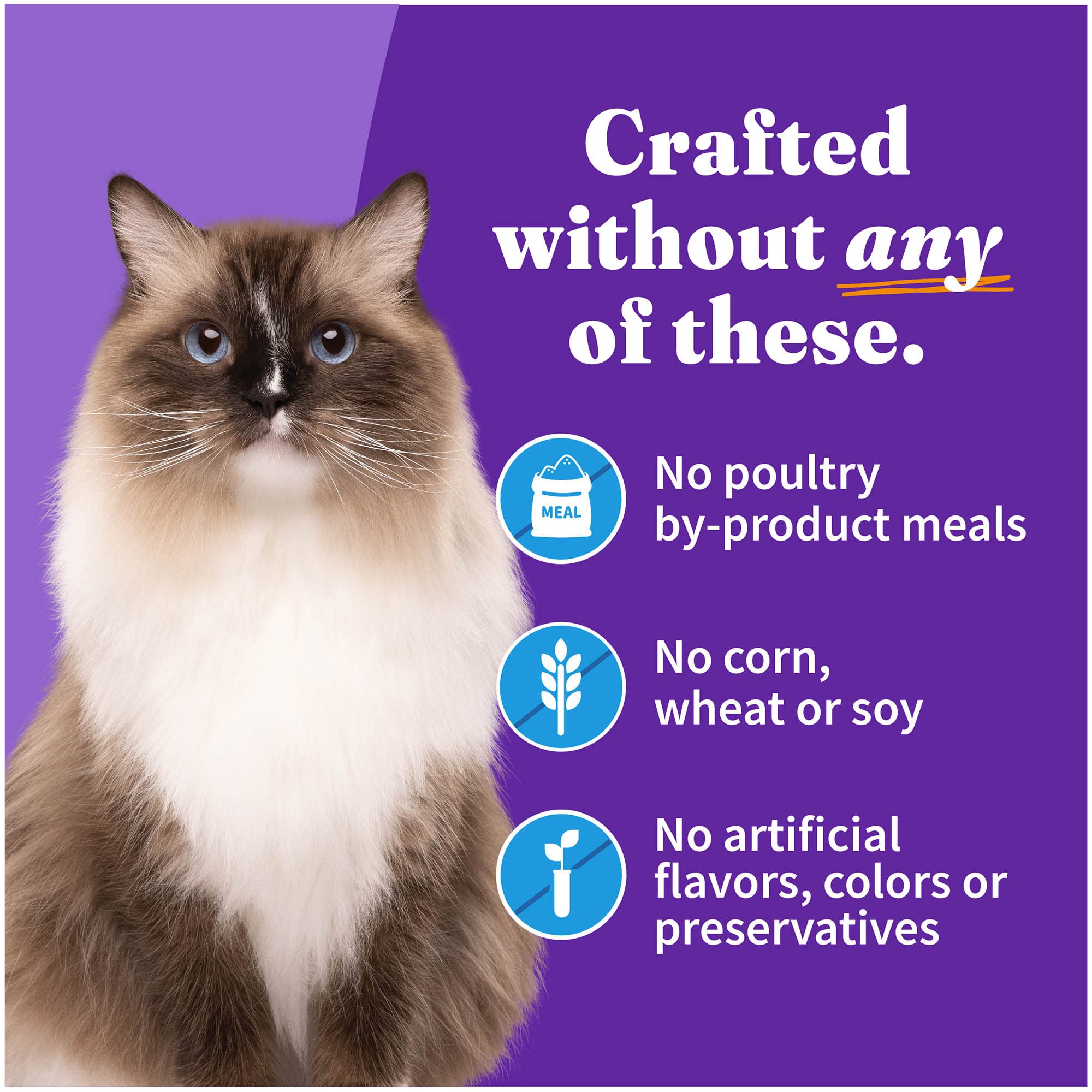 Halo Wet Cat Food Whitefish Recipe, Grain Free Wet Cat Pate, Canned Cat Food for Extra Hydration, 5.5 Oz Can (Pack of 12)