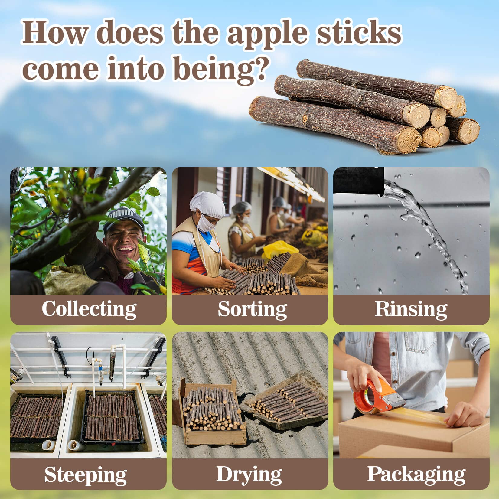 Sukh Natural Organic Apple Sticks - 250G Hamster Chew Toys Hams Rabbit Bunny Gerbil Guinea Pig Squirrel Chinchilla Animal Chew T