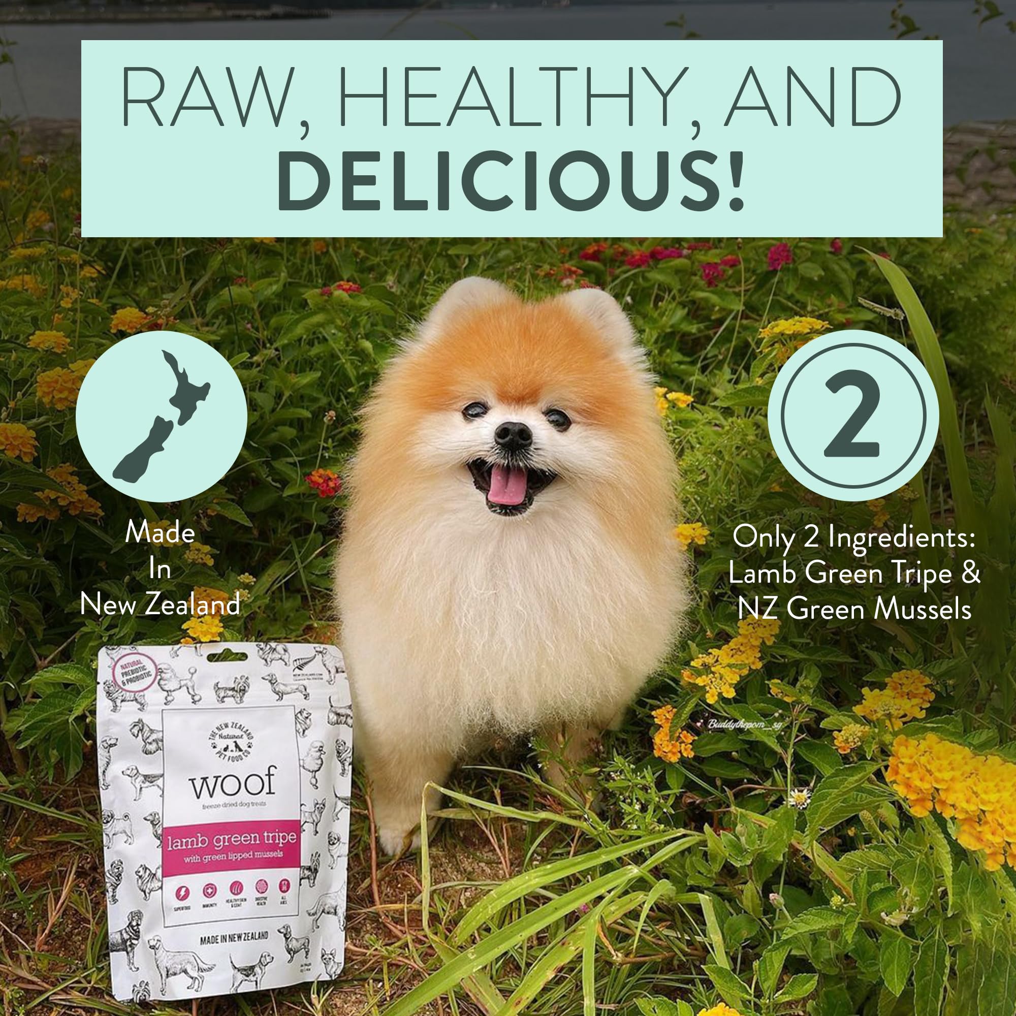 The New Zealand Natural Pet Food Co WOOF Freeze Dried Dog Treats - Lamb Green Tripe, High Protein, Large & Small Dog, Topper or