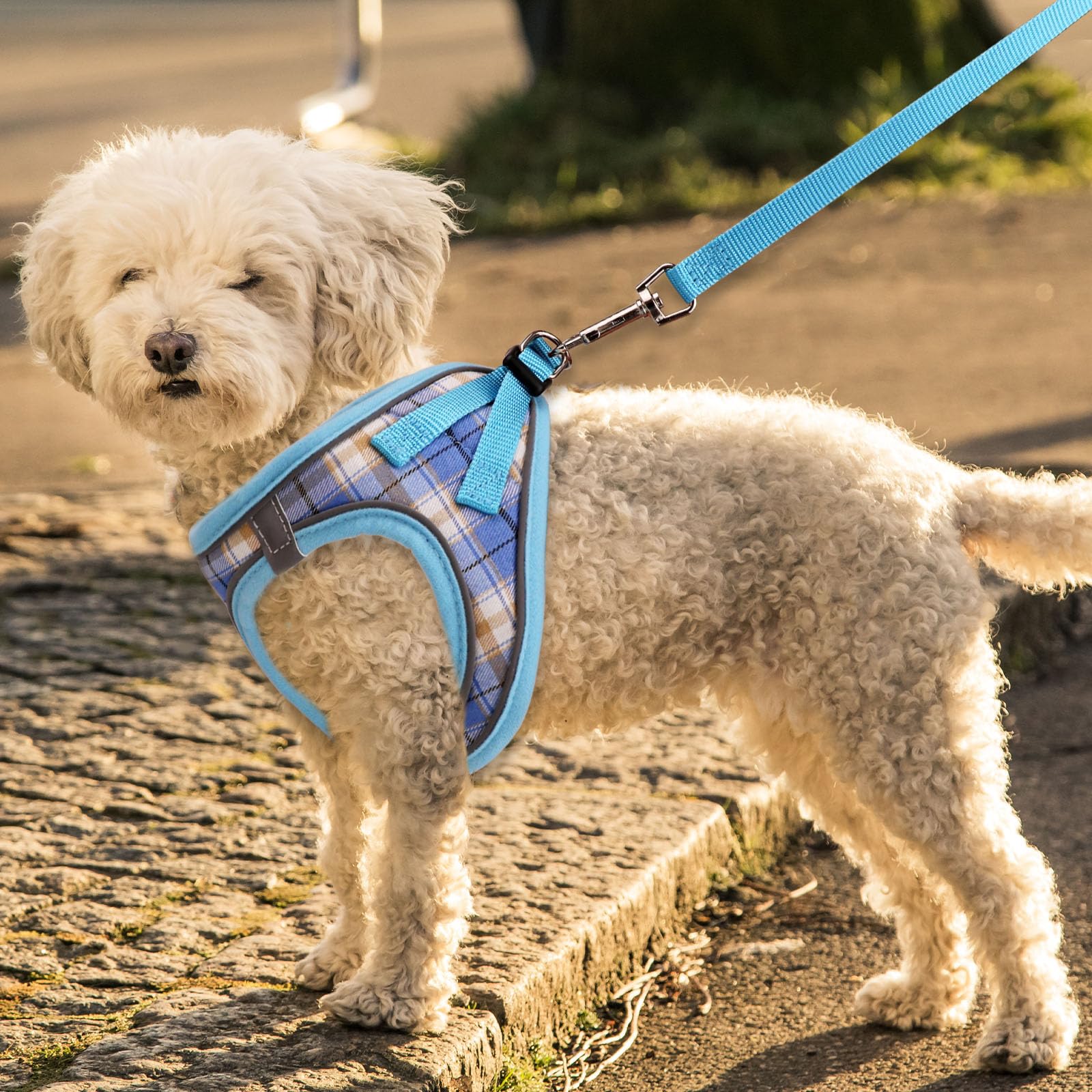 Dog Harness For Small Dogs,Small Dog Harness Puppy Harness Breathable Mesh Reflective Adjustable Safety Buckle Xs Dog Harness Pu
