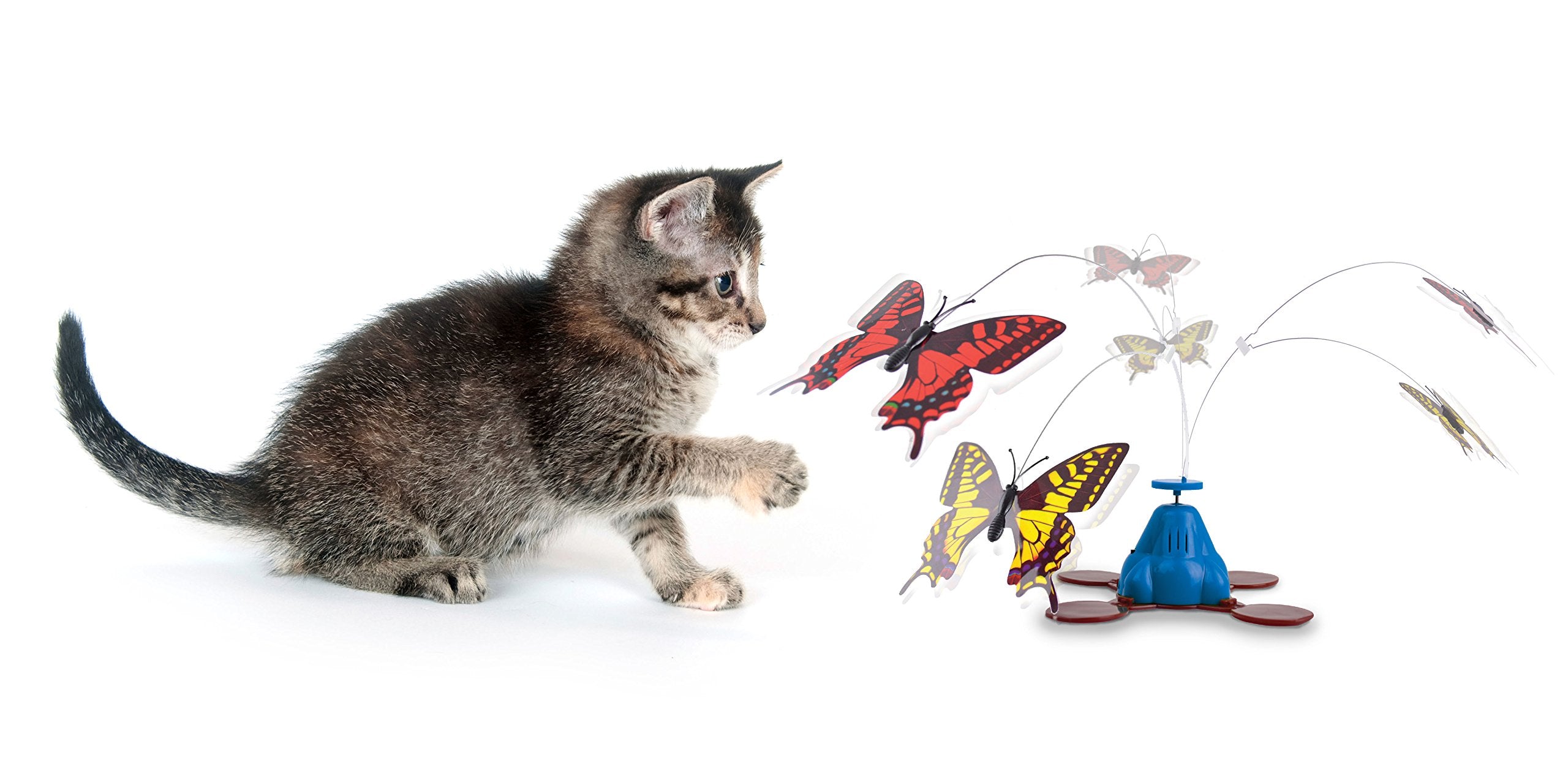 Ourpets Whirling Wiggler Spinner Cat Toy, Model: 1400013266