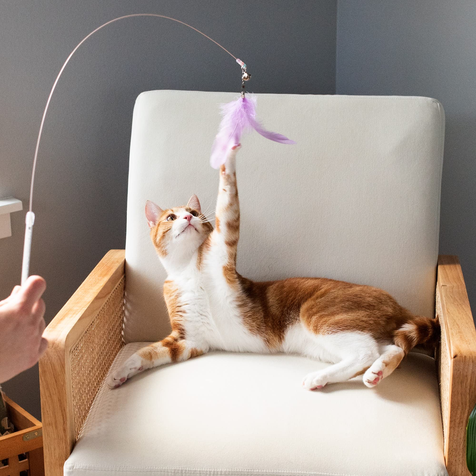 Furhaven 2-Pack Teaser Cat Wand Toy Set For Indoor Cats, Interactive Play & Exercise - Dizzy Kitty Feather Wand - Pastel (Lavend