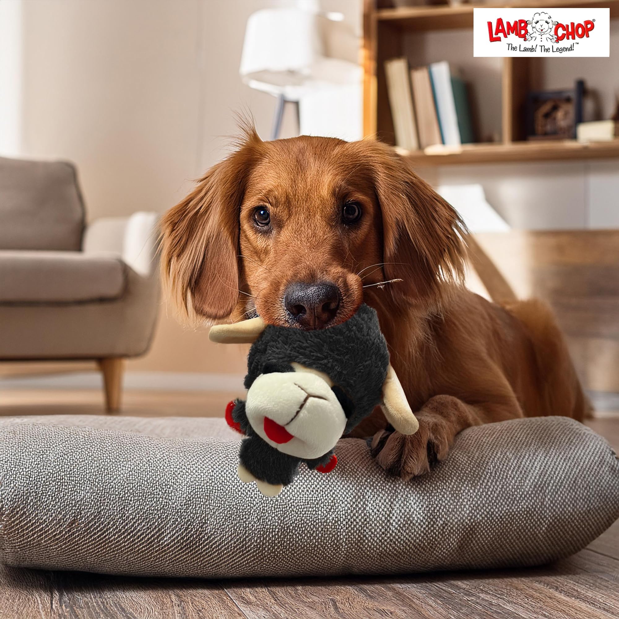 Multipet Knobby Noggins Dog Toy Lamb Chop | Squeaky Plush Toy for Small/Medium Breeds | 5" | Black | Officially Licensed