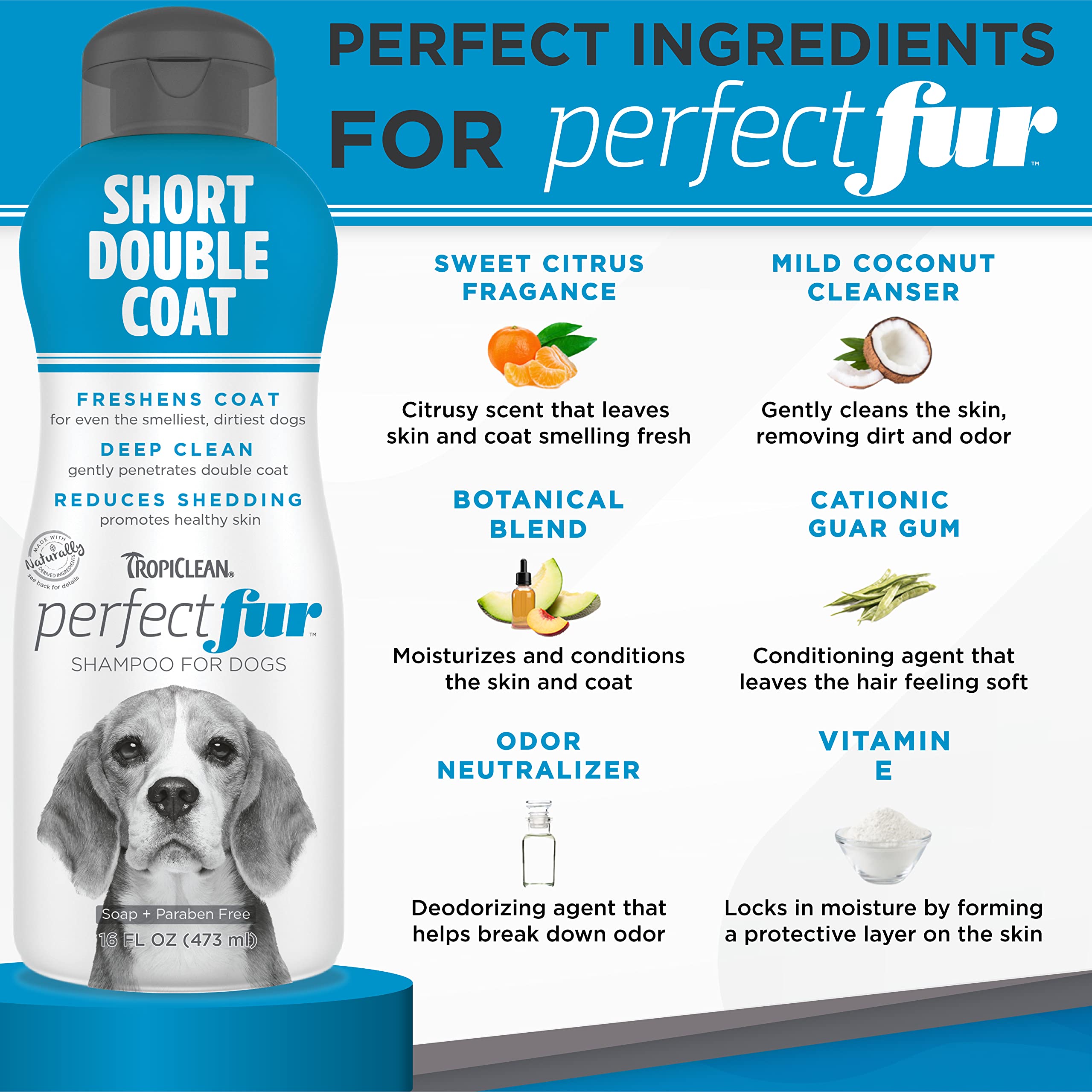 Tropiclean Perfect Fur Deodorizing And Deshedding Dog Shampoo For Smelly Dogs, For Breeds With Short Double Coats Like Corgis, L