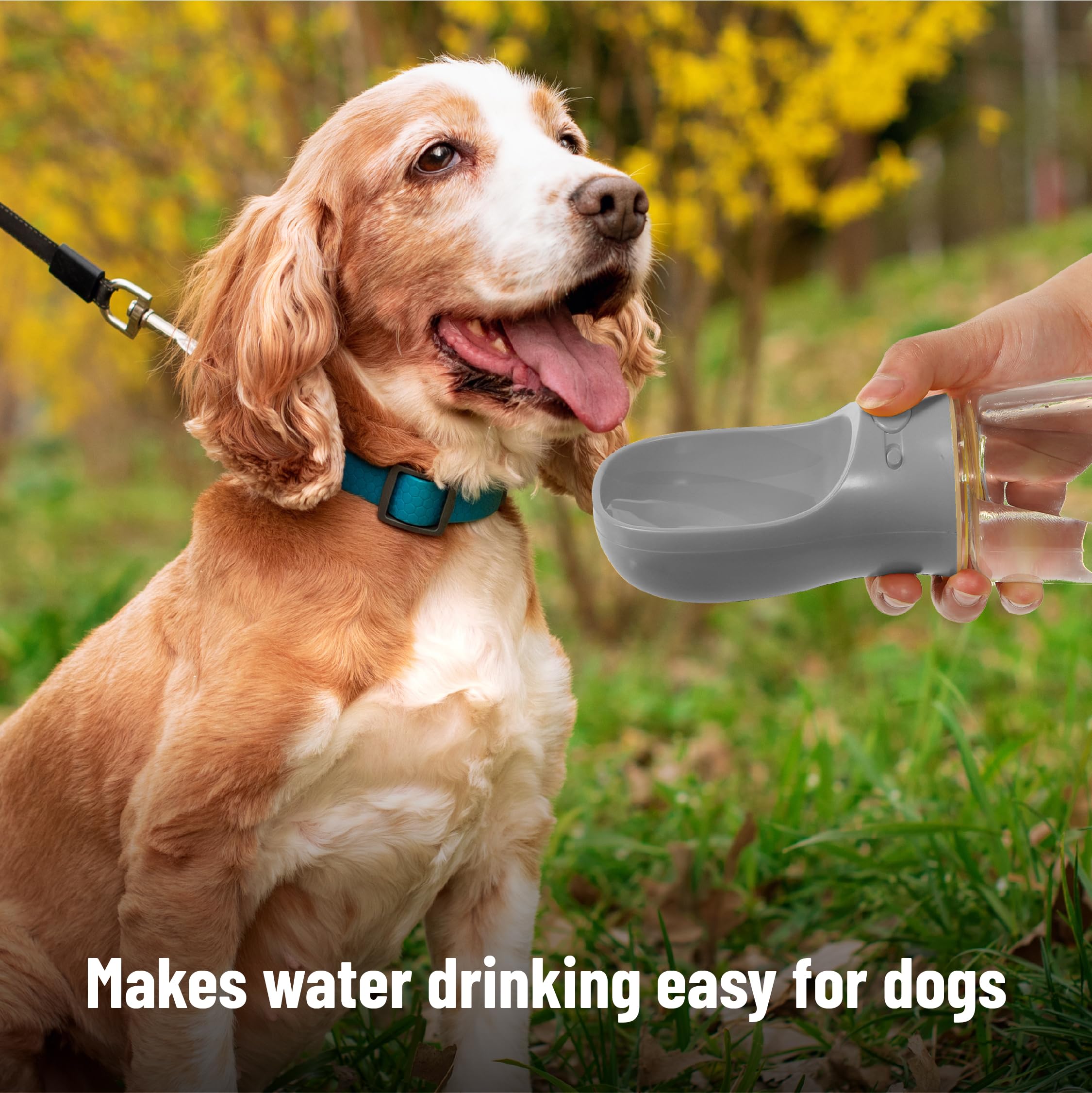 Mr. Pen- Dog Water Bottle, 19 oz, Large, Grey, Portable Dog Water Bottle Dispenser, Dog Travel Water Bottle, Travel Dog Water Bo
