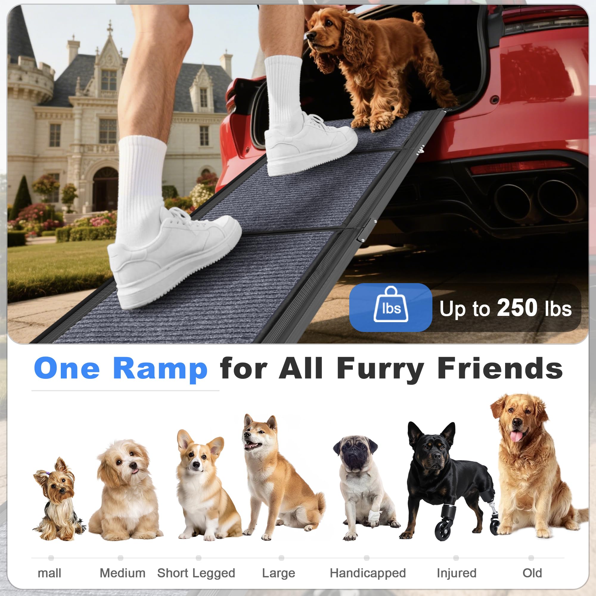 COSIEST Dog Ramp for Car, 63 L x 17.3 W Folding Pet Ramp for Large Dogs Up to 250LBS, Portable Dog Steps with Non-Slip Surface f