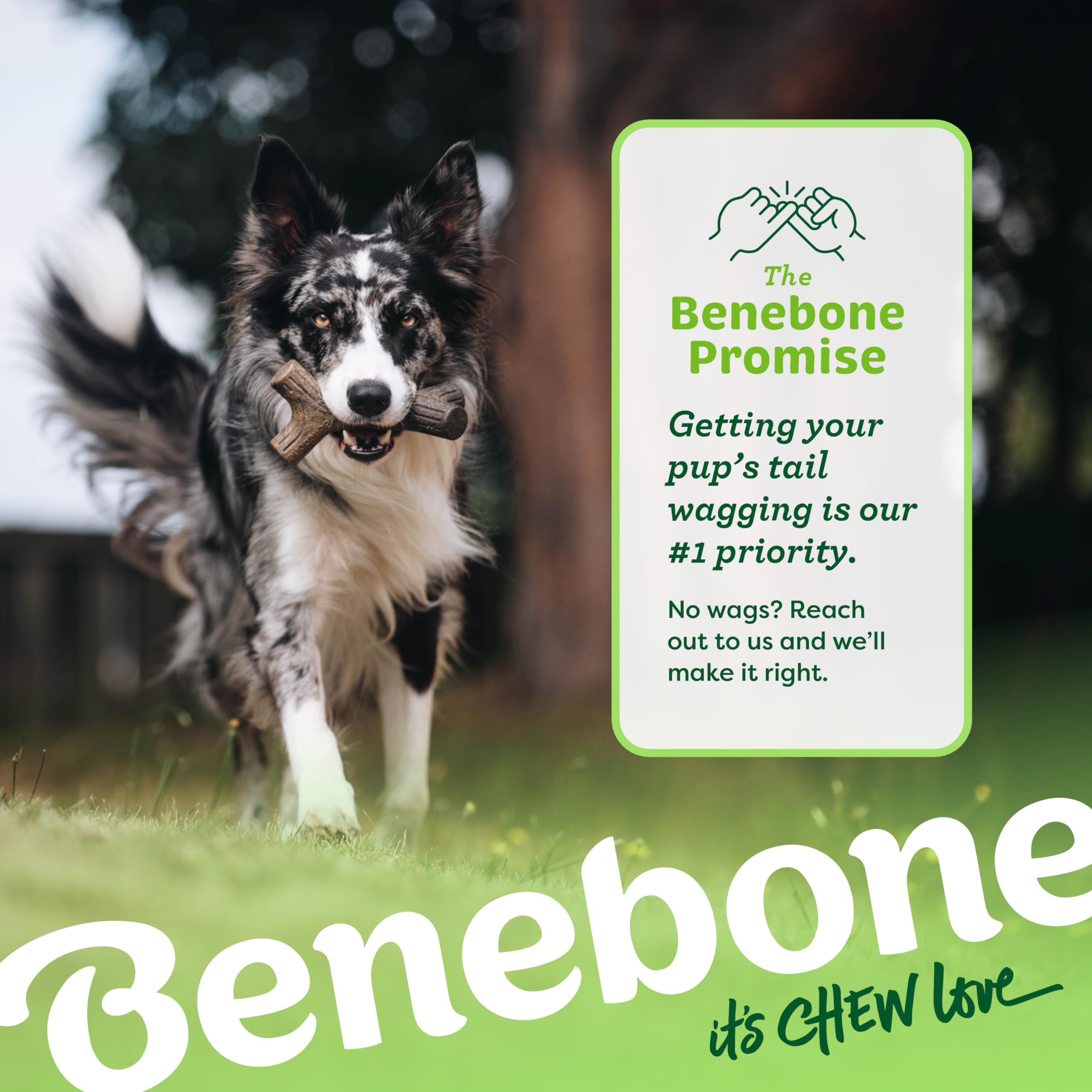 Benebone Bacon Stick Durable Dog Chew Toy For Aggressive Chewers, Real Bacon, Made In Usa, Large