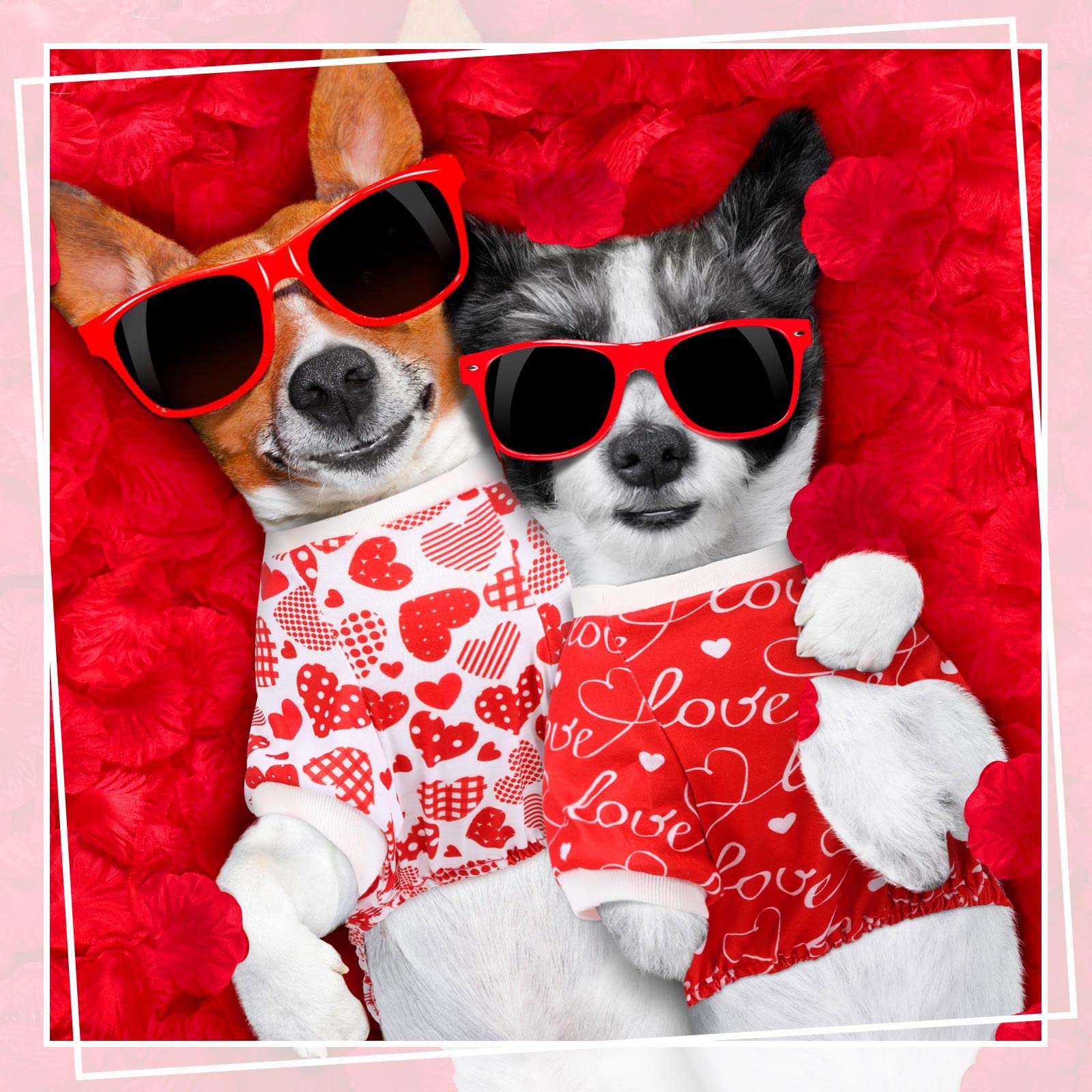 Sanwuta 6 Pack Valentines Dog Pajamas Soft Heart Pattern Dog Clothes Jumpsuit Costumes For Small Medium Large Puppy Cat Valentin