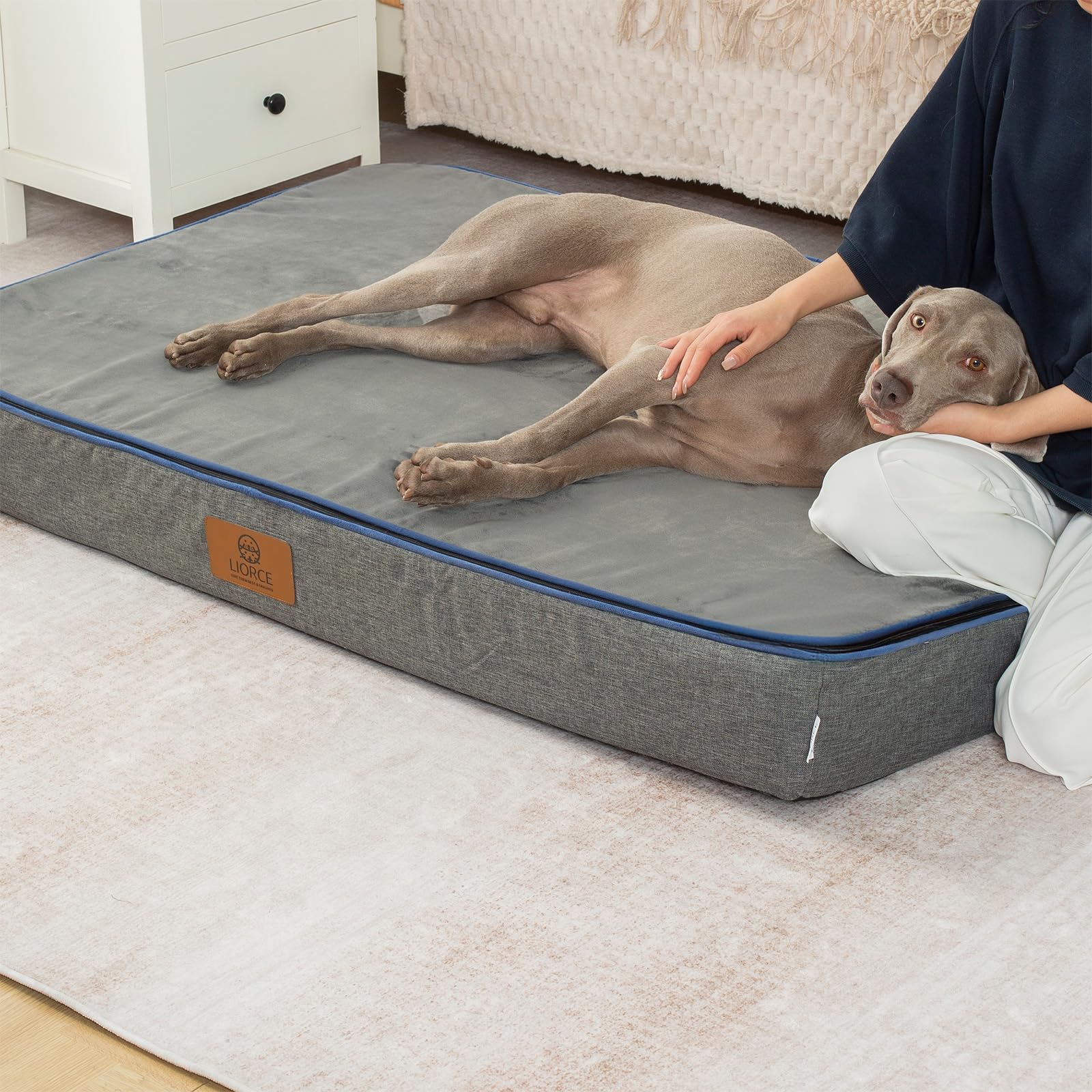 LIORCE Orthopedic Memory Foam Dog Bed - 53" x 36" x 6", Waterproof Washable Cover, Dark Grey