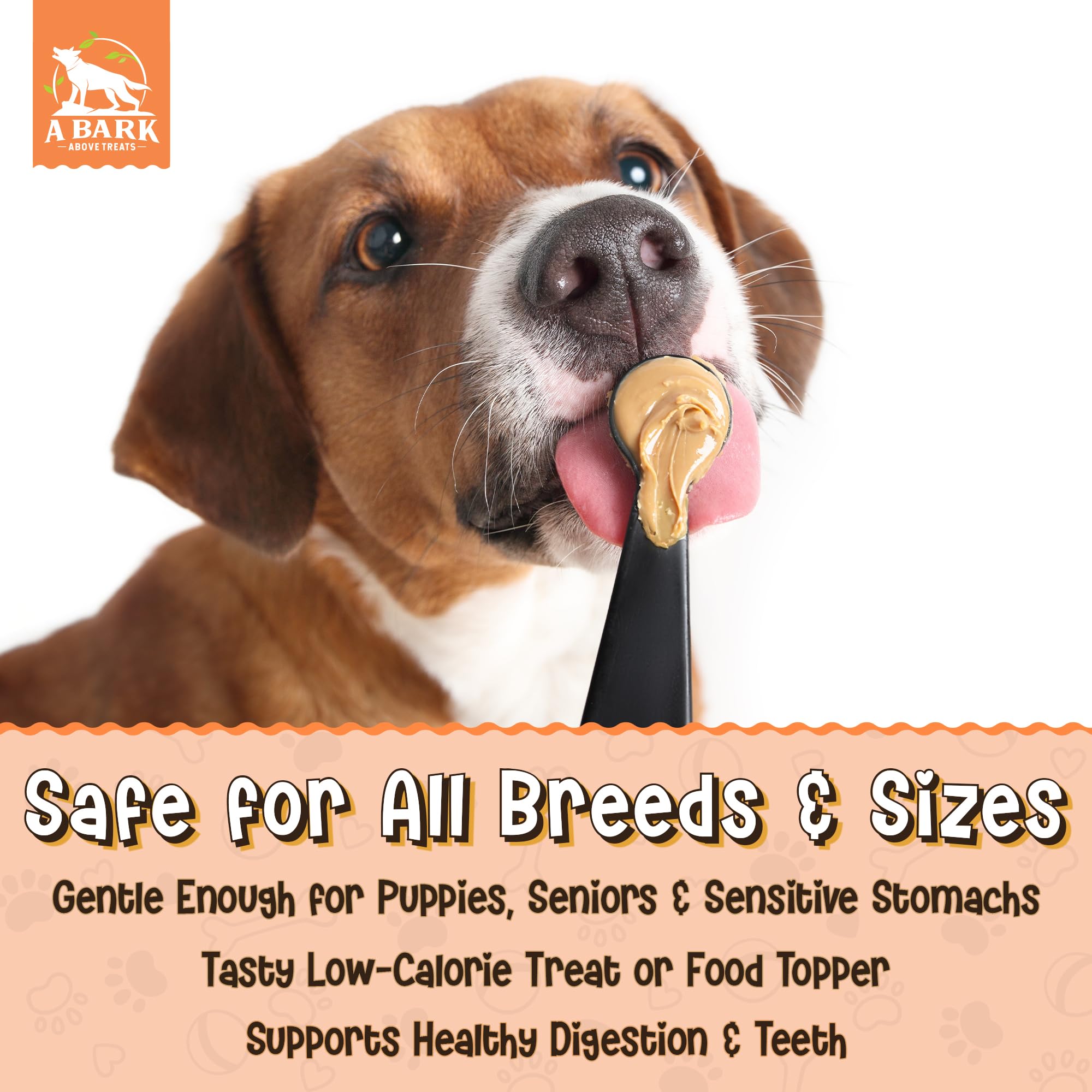 Zoomie Butter Pumpkin Power Dog Peanut Butter Spread, All Natural Dog Treat. Human Grade & Safe Puppy Food, Peanuts & Pumpkin fo