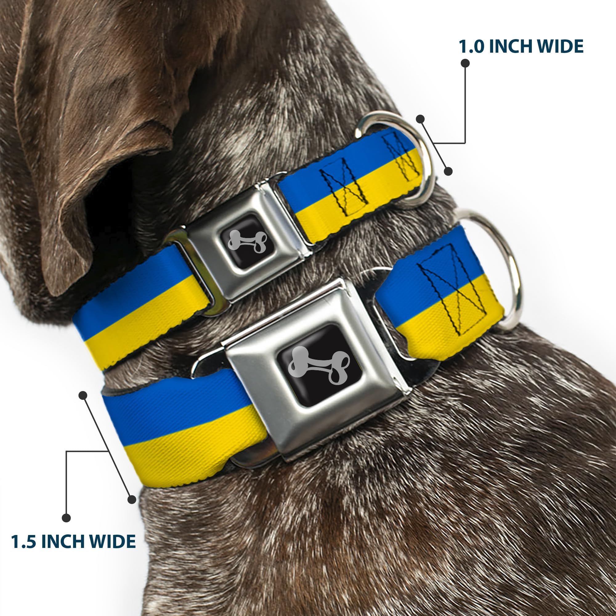 Dog Collar Seatbelt Buckle Ukraine Flag Continuous 16 To 23 Inches 1.5 Inch Wide