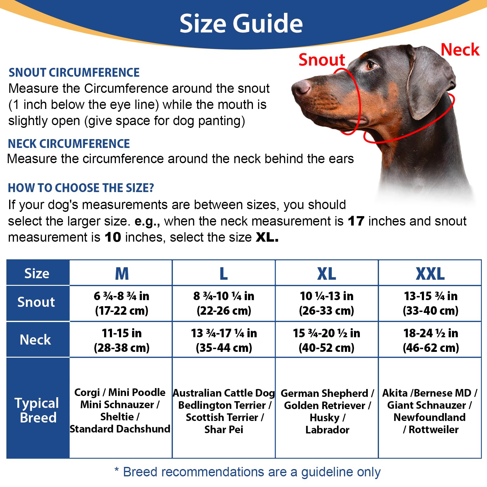 BARKLESS Head Collar for Dogs, No Pull Head Halter for Large Medium Small Dogs, Nose Leash Stops Heavy Pulling, Muzzle Leash wit