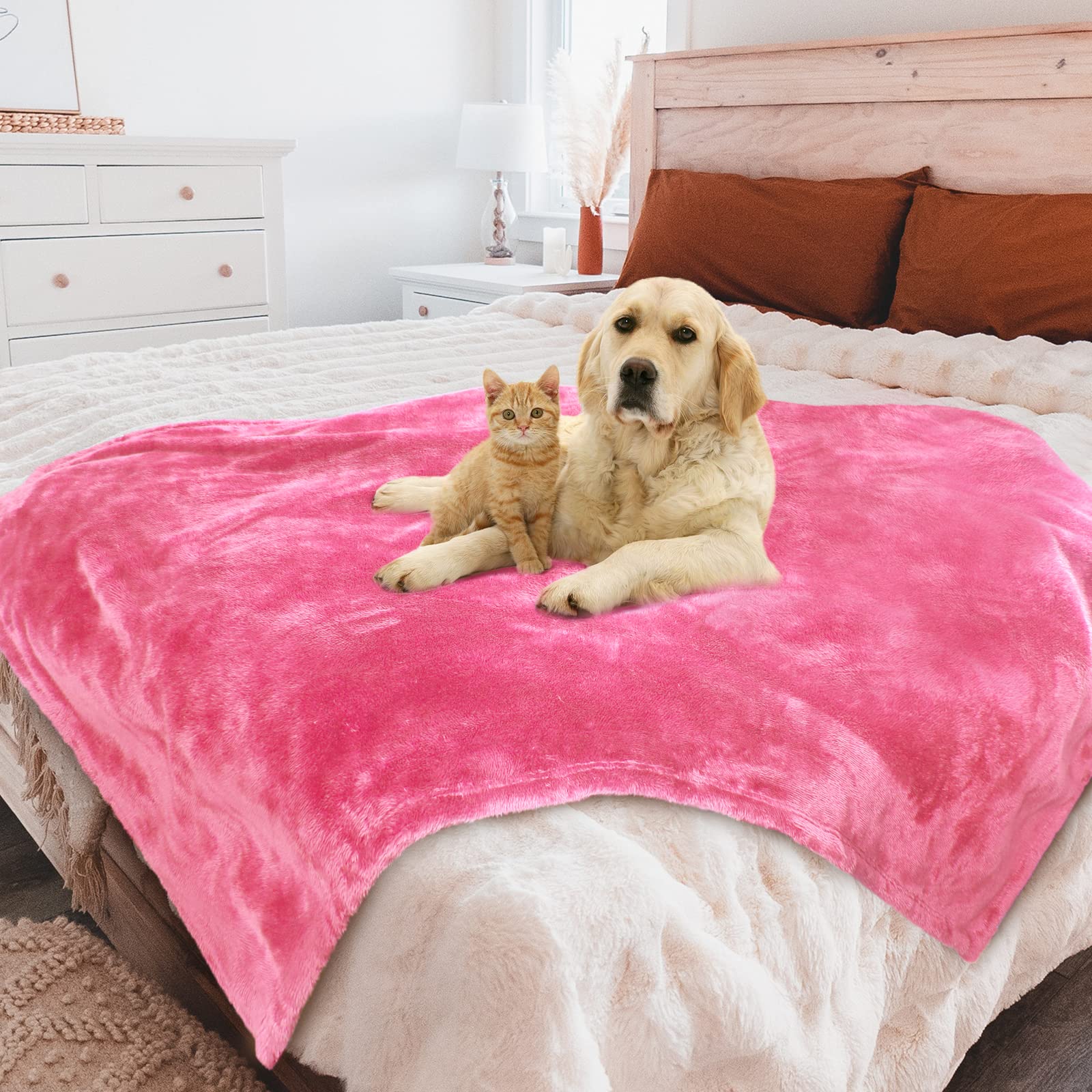 Macevia Waterproof Dog Blanket, Fluffy Soft Pet Blankets For Dogs And Cats, Plush Throw Furniture Protector Cover For Sofa Couch Bed (60X80 Inch, Pink)