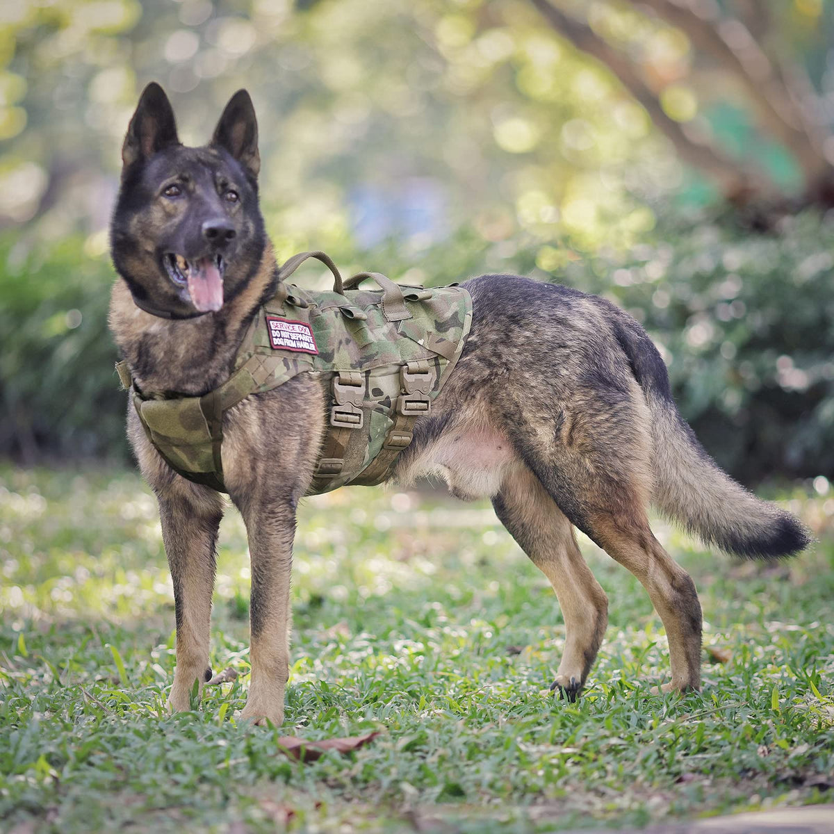 Petac Gear Tactical Dog Harness K9 Dog Training Vest Adjustable Padded Police Service Dog Working Molle Vests For Large Medium Dogs Mals Gsd Lab… …