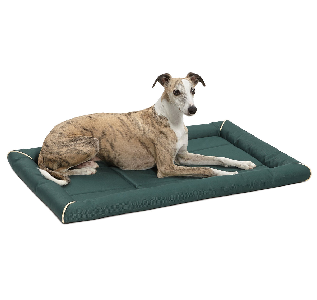 Midwest Homes For Pets Maxx Dog Bed For Metal Crates,36 Inch Green