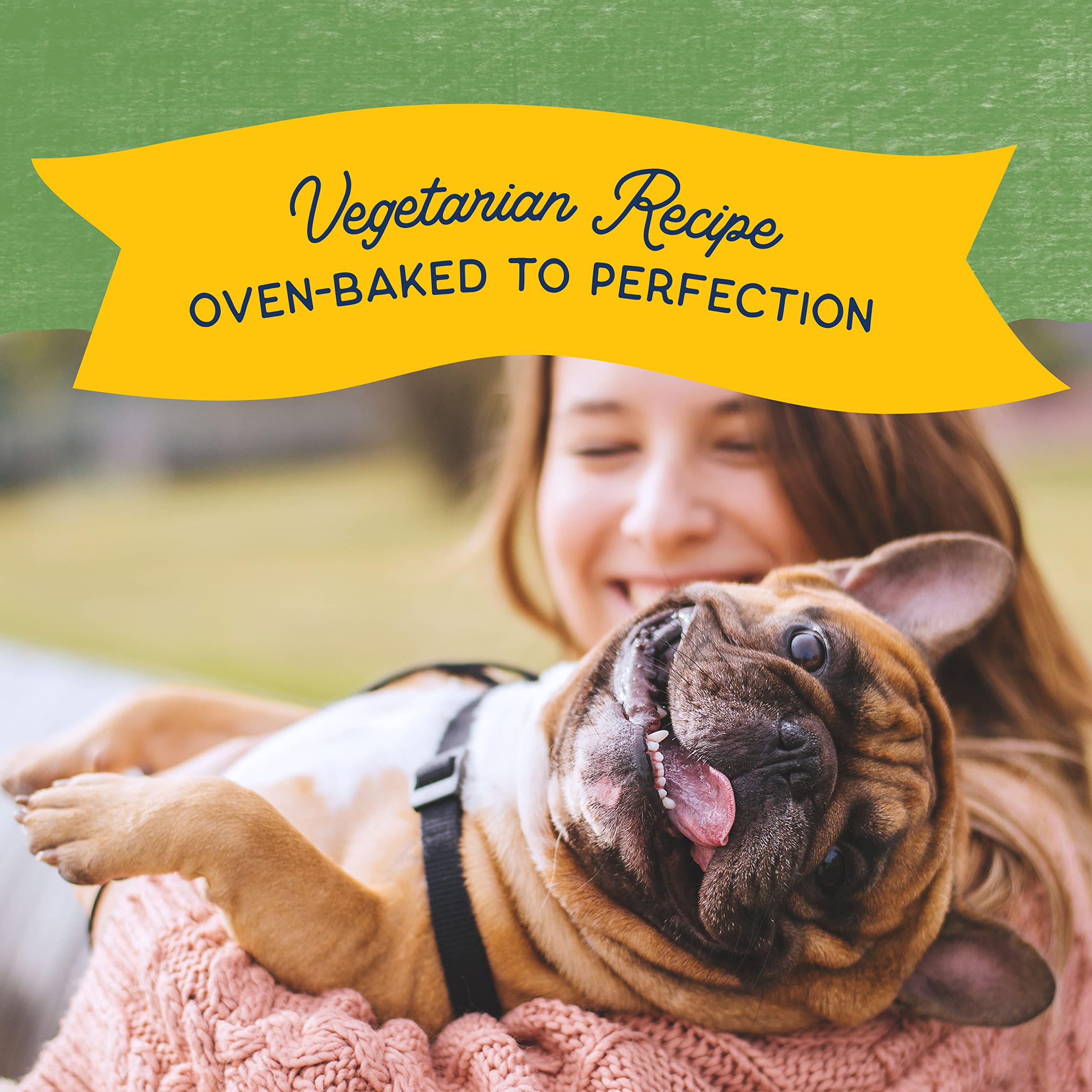 Natural Balance Limited Ingredient Rewards Crunchy Biscuits, Vegetarian Dog Treats for Adult Dogs of All Breeds, Peanut Butter R