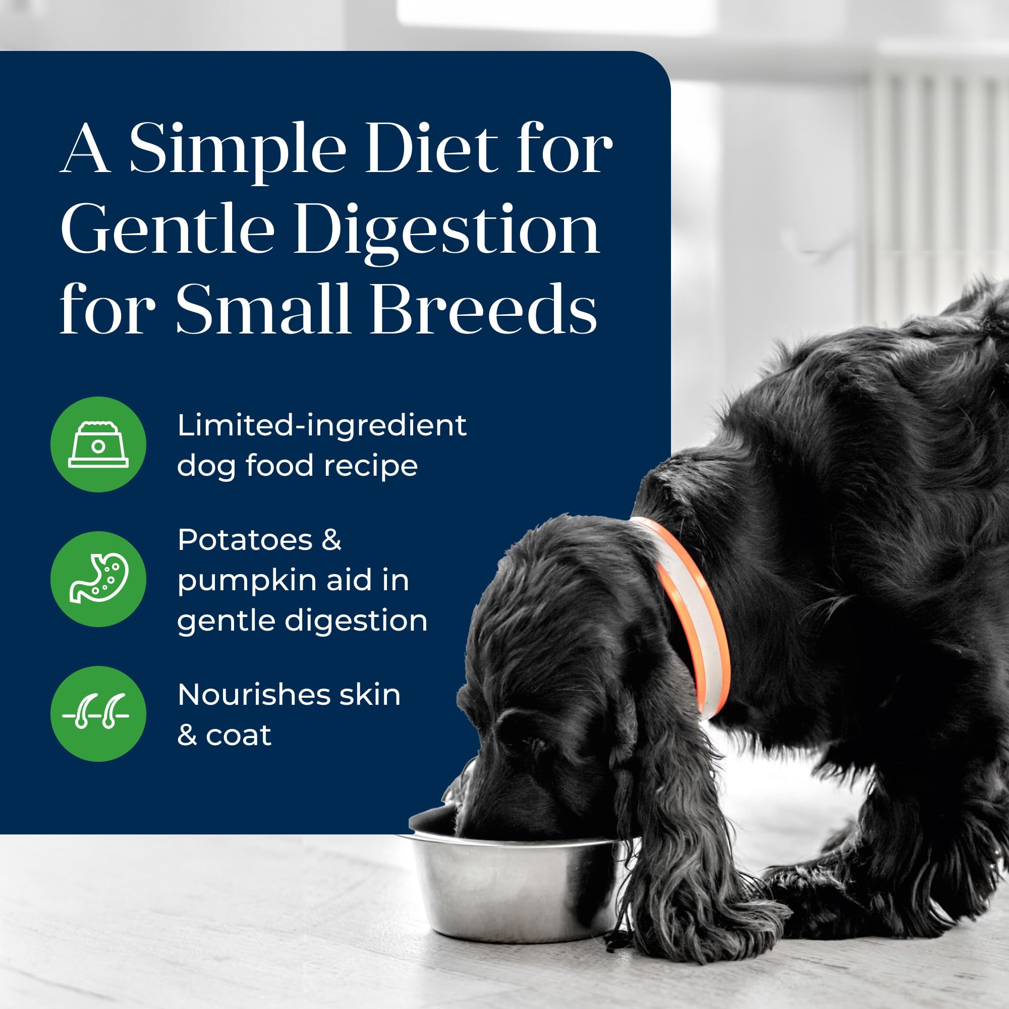 Blue Buffalo Basics Adult Small Breed Grain-Free Wet Dog Food for Skin & Stomach Care, Limited Ingredient Diet, Lamb Recipe, 3.5