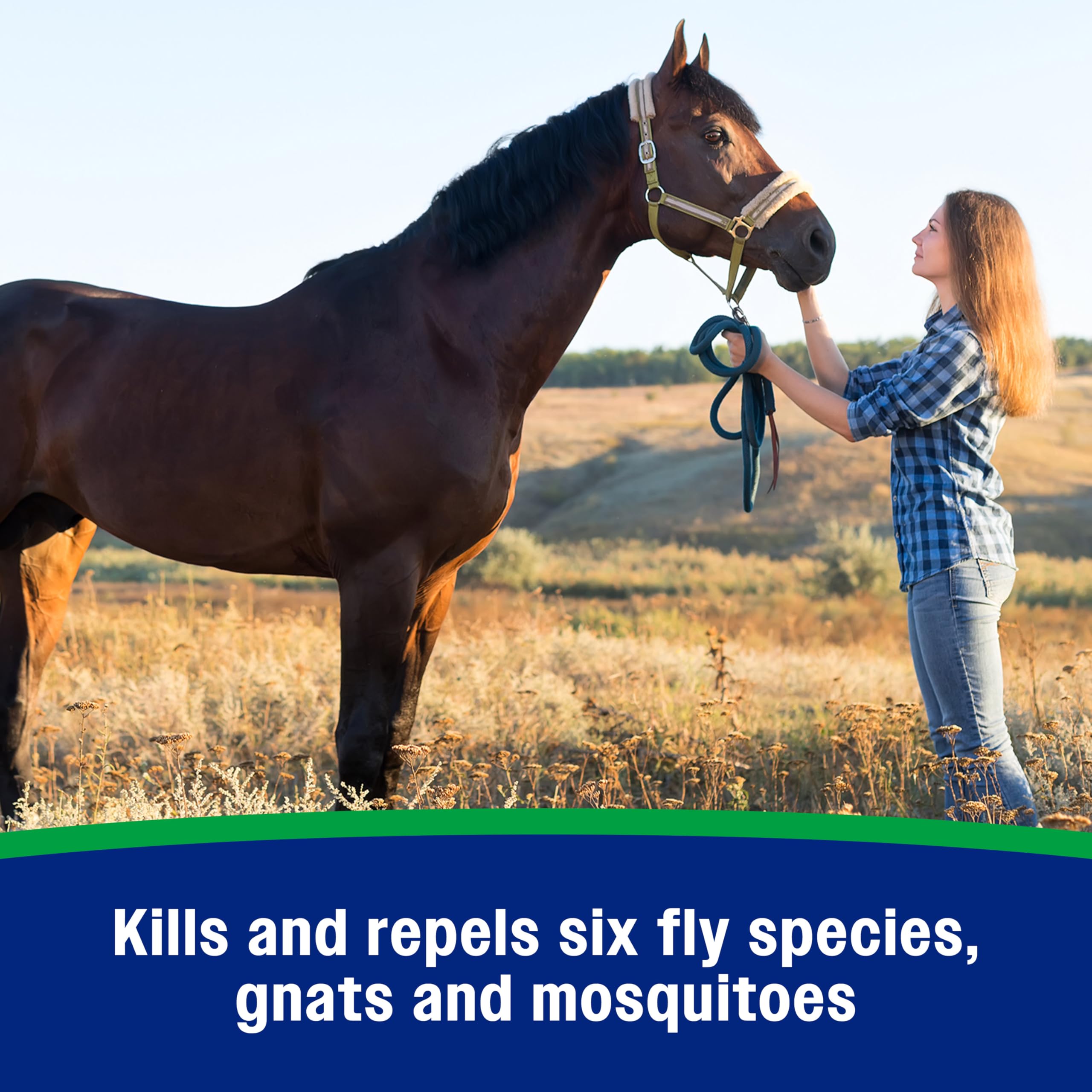 Farnam Wipe II Brand Horse Fly Spray with Citronella, Kills and Repels Flies, Conditions Coats, 32 oz