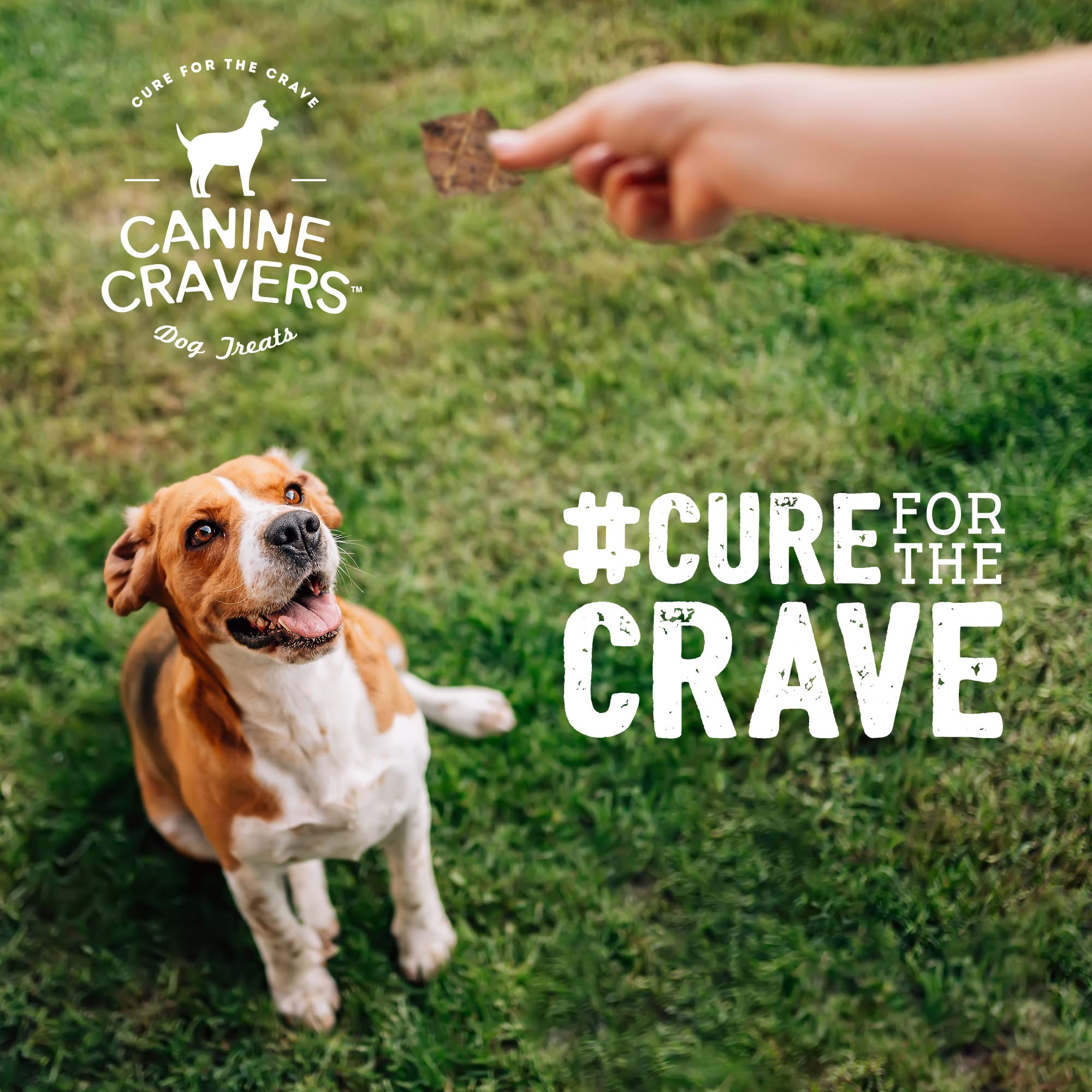 Canine Cravers Single Ingredient Dog Treats - Premium Lamb Fillets - Human Grade Air Dried Hypoallergenic Pet Food - Grain, Glut