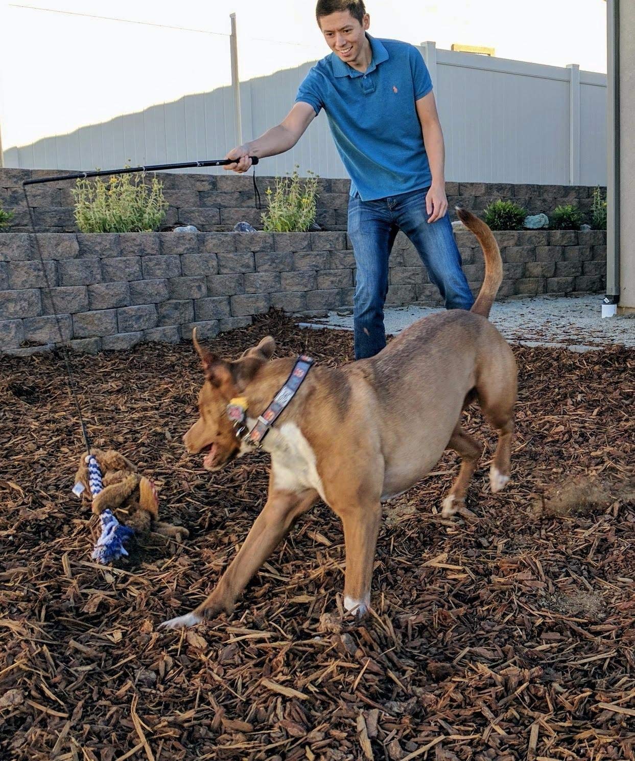 Amyese Interactive Dog Toys - Extendable Flirt Pole With 2Pcs Braided Rope Tugs For Dog Outdoor Entertainment, Train And Exercise, Blue, Size L