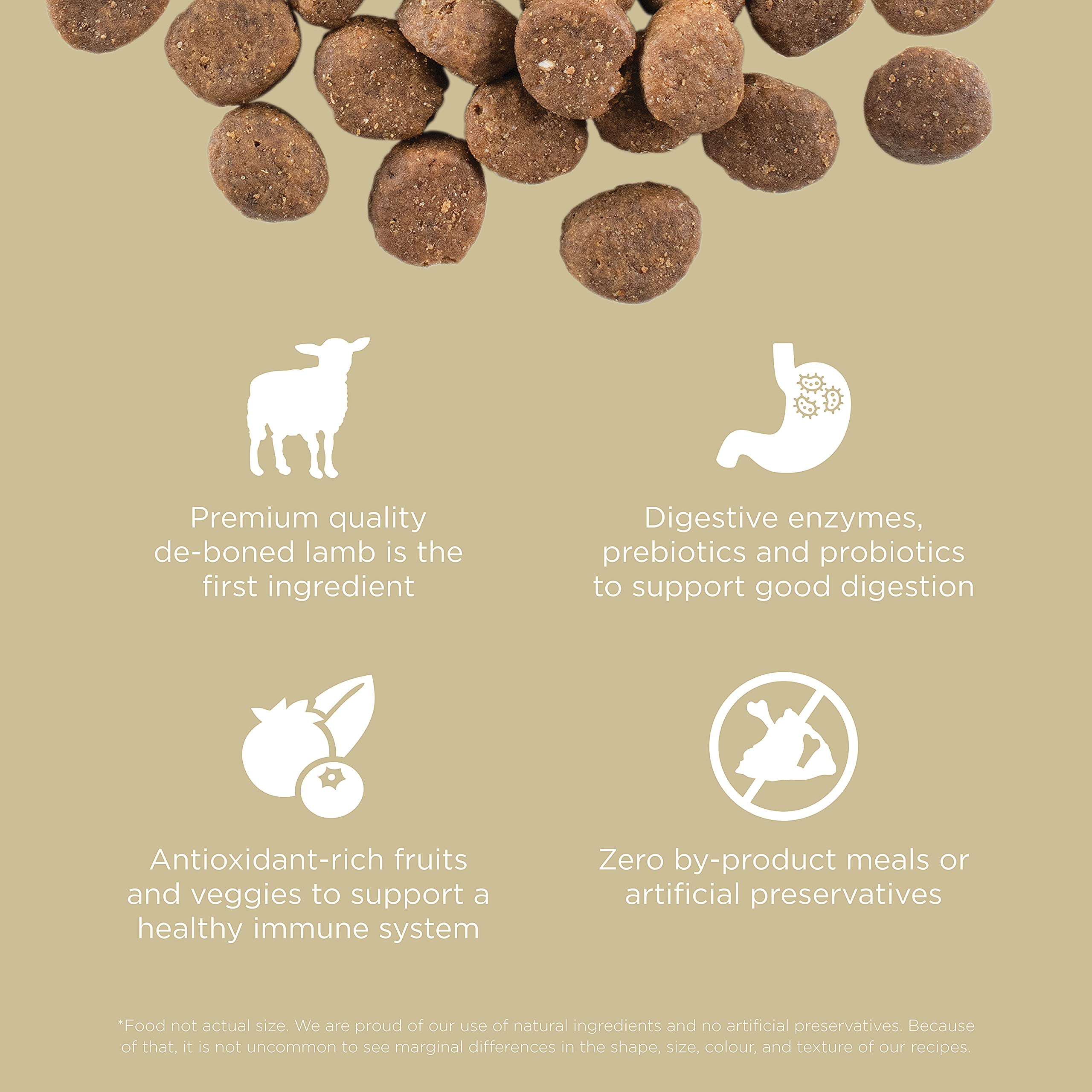 Go! Solutions Carnivore, Grain-Free, Protein Rich Dry Dog Food, Lamb and Wild Boar Recipe, 3.5 lb Bag