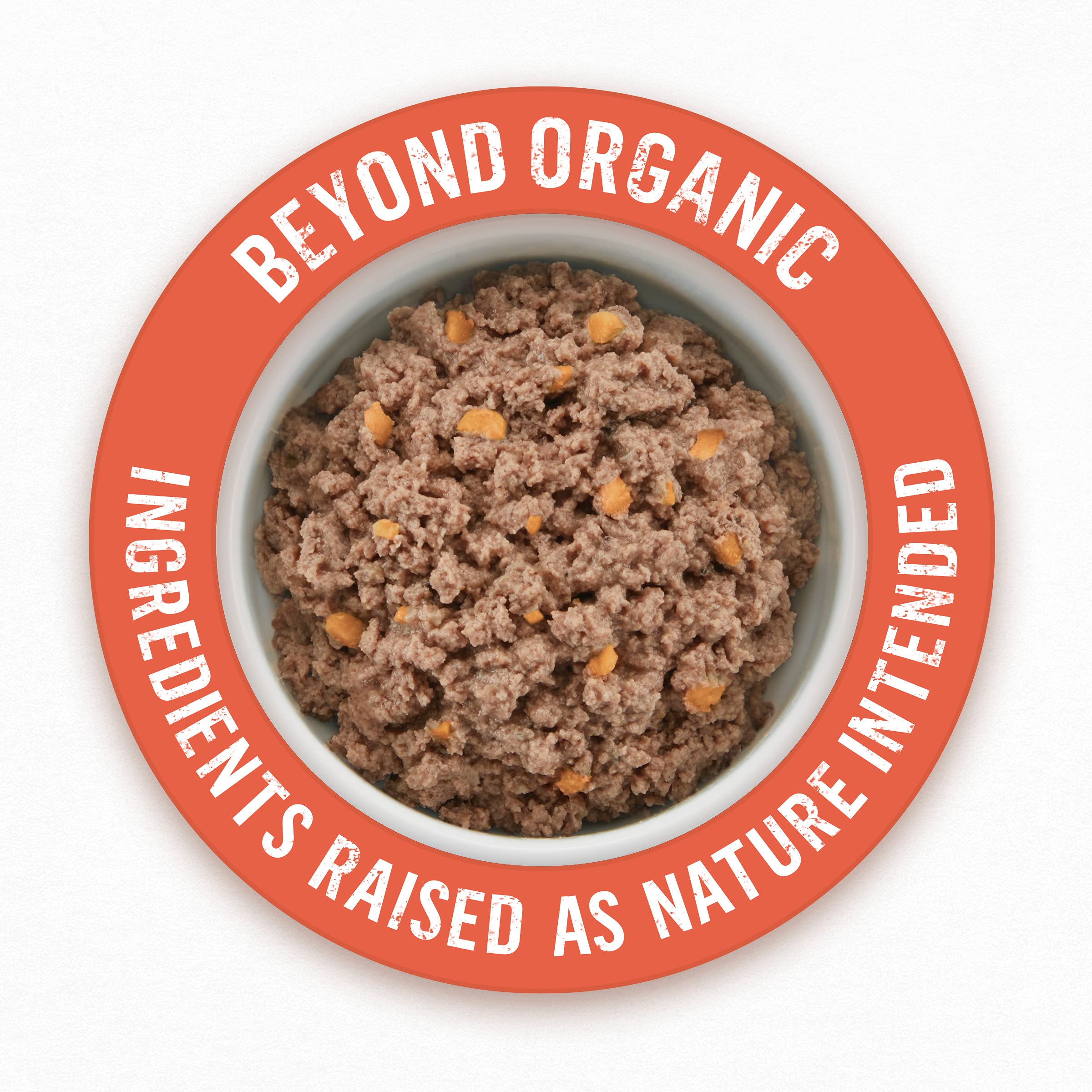 Purina Beyond Organic Wet Dog Food, Organic Chicken & Sweet Potato Adult Recipe Ground Entr  e With Broth - (Pack of 12) 13 oz.