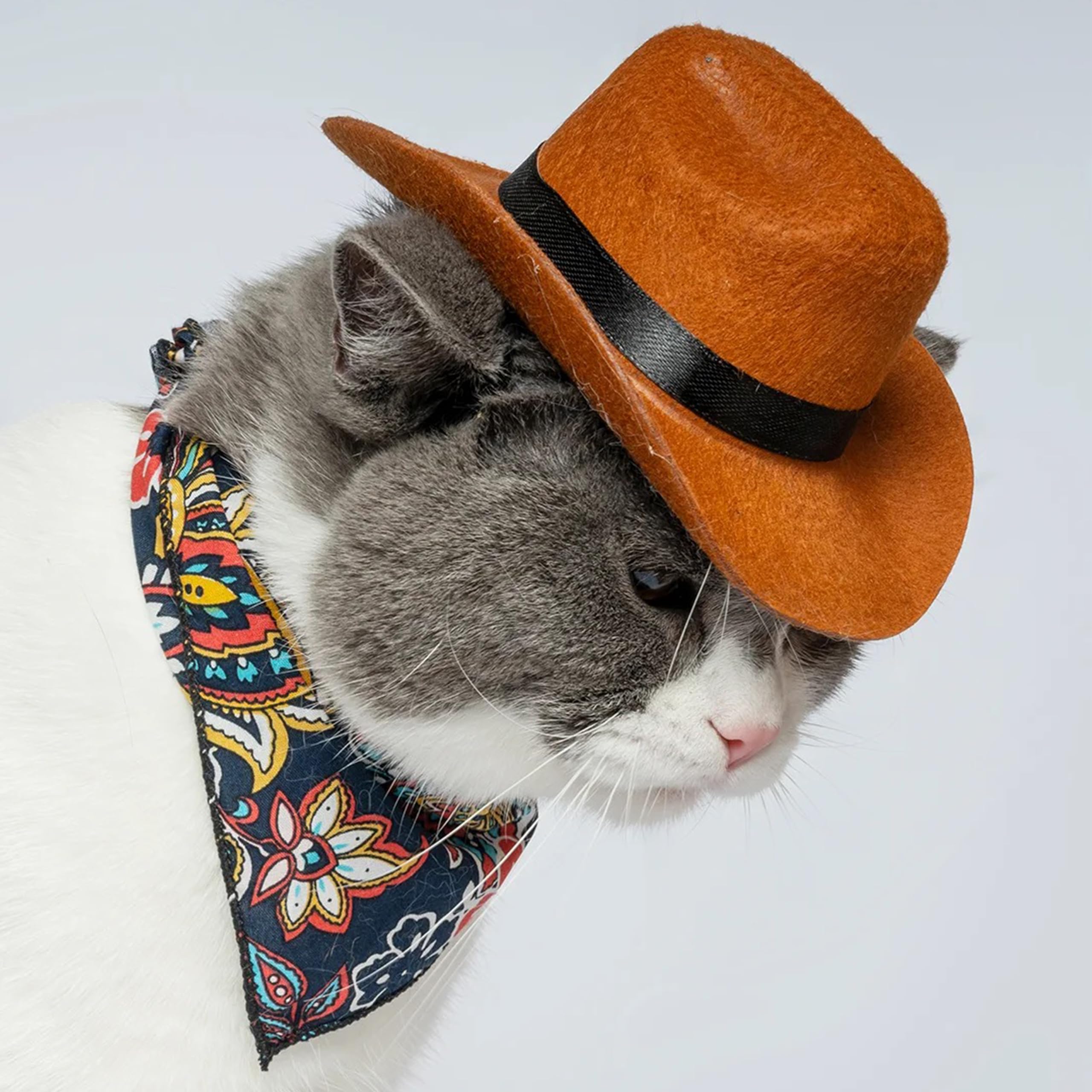 Saisi Pet Cowboy Dog Or Cat Costume, Dog Apparels & Accessories, Frenchie Dog Hat Costumes With Paisley Bandana Scarf For Puppy