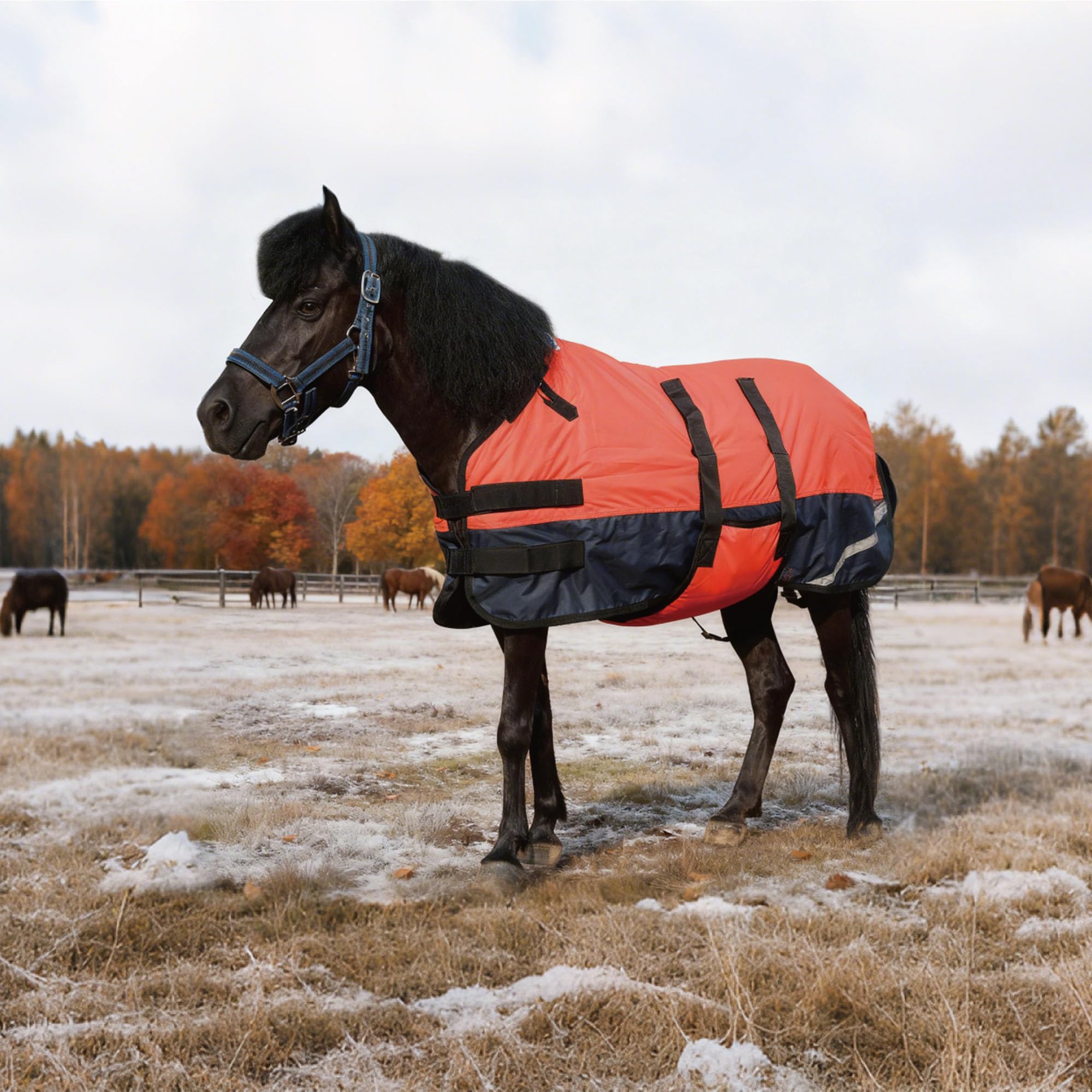 Gallopoff Foal/Mini Horse Size 30''-48'' Waterproof & Breathable 300 Denier Winter Turnout Blanket With 150G Polyfill Fluorescen