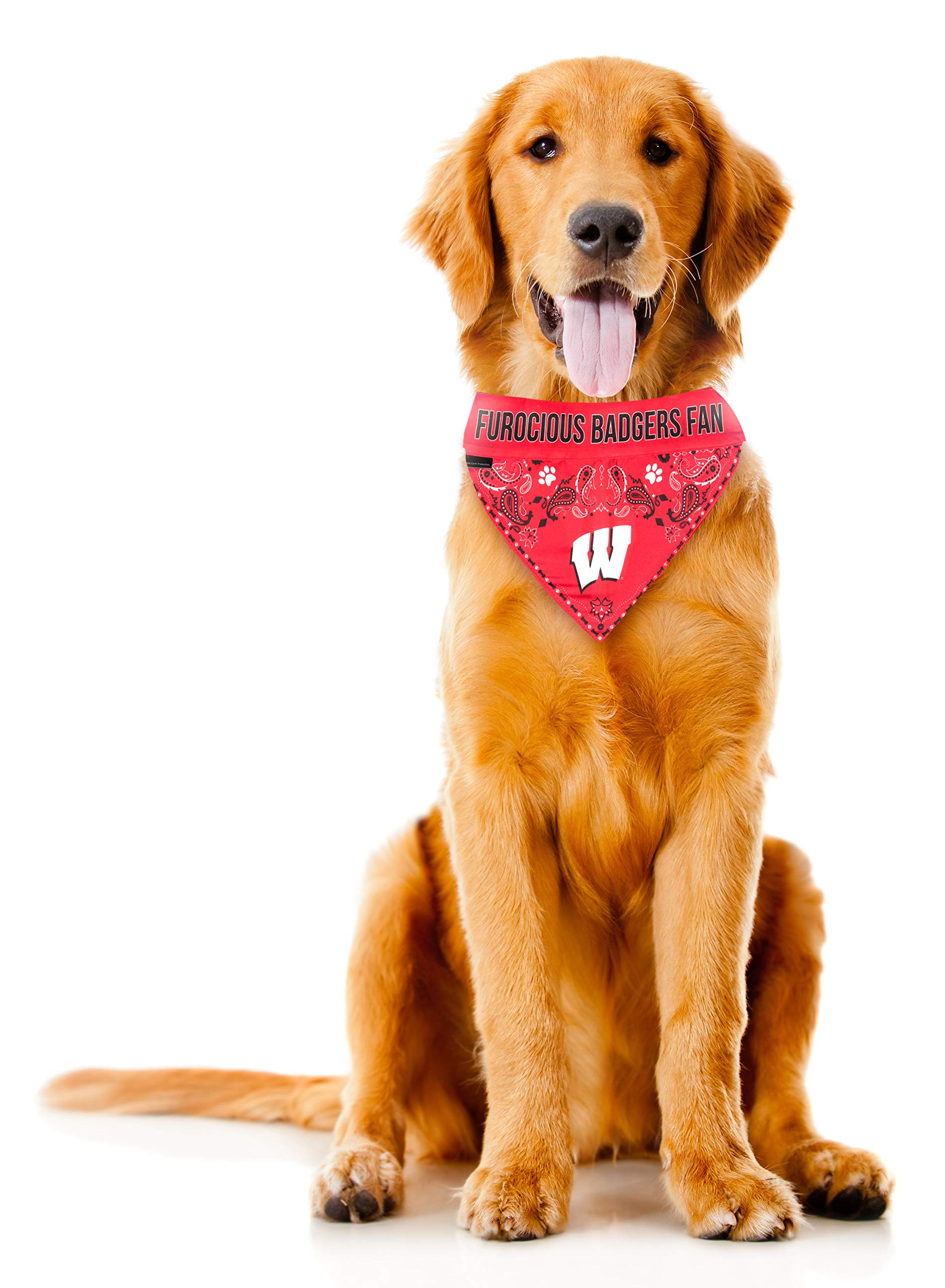 Wisconsin Badgers Pet Bandanna Size XL - Special Order