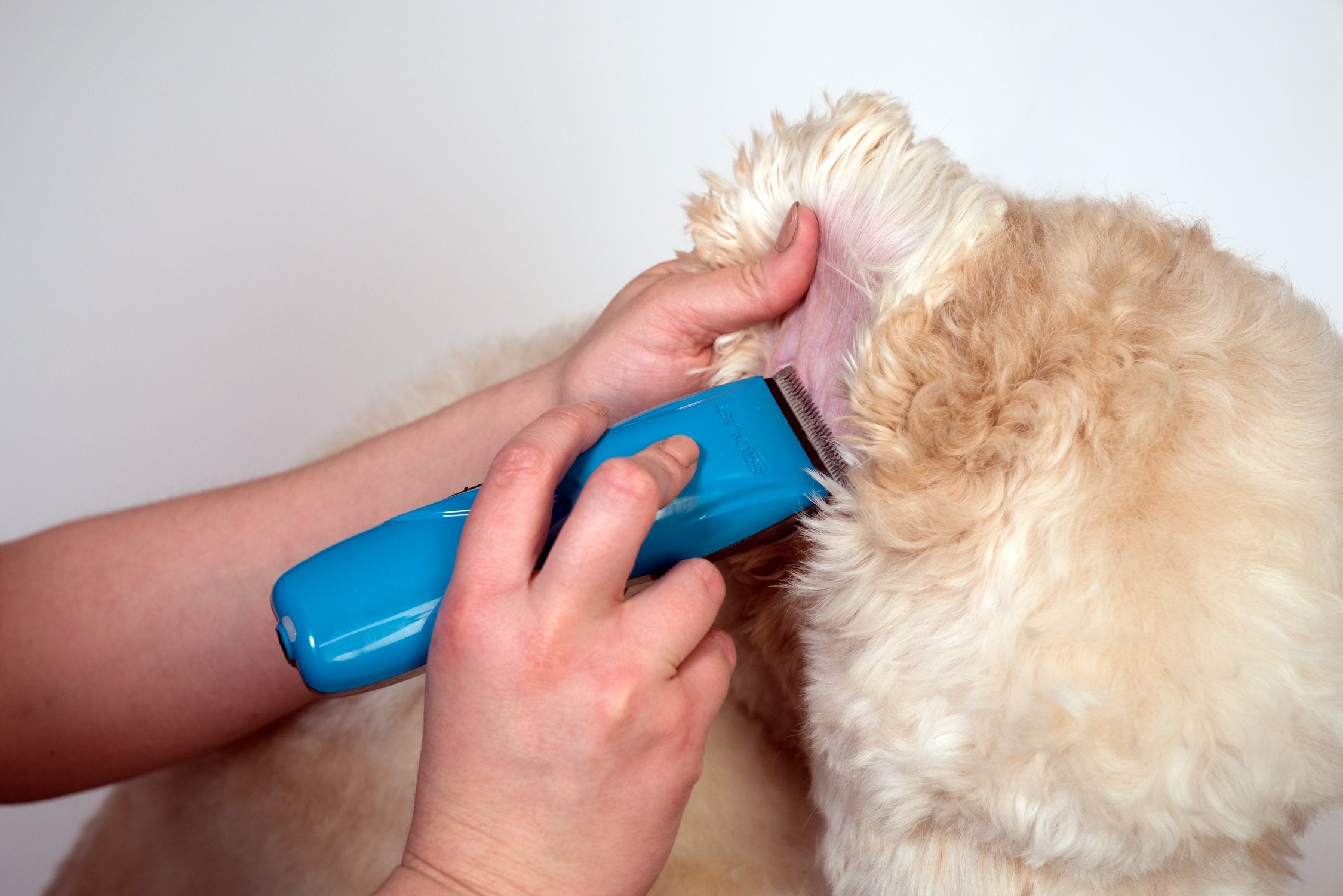 Andis 73515 Pulse Li 5 Cord/Cordless Grooming Clipper For Dogs, Cats And Equine, Teal