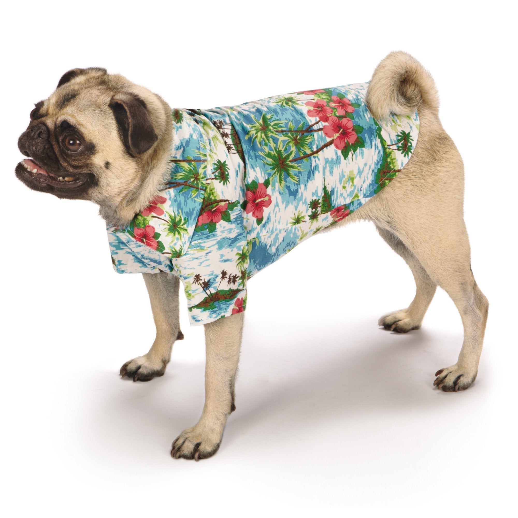Casual Canine Hawaiian Breeze Camp Shirt, Large, Blue