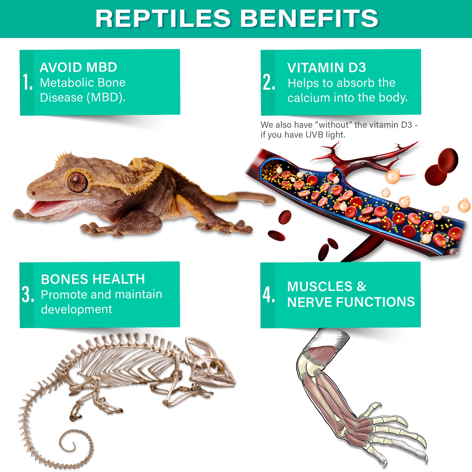 Gargeer 4oz All Reptile Calcium with Vitamin D3, Phosphorus-Free, Ultrafine Powder. Pure dust, Real Fruits Blend Flavored Ready