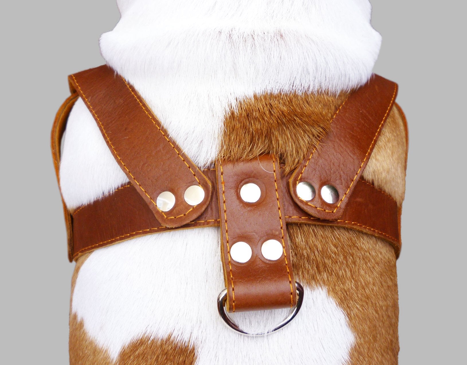Brown Leather Dog Harness, Large. 28'-34' Chest, 1.5' Wide Straps, Rottweiler Bulldog