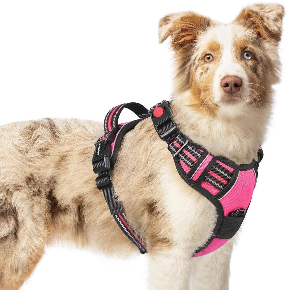 Rabbitgoo Dog Harness Medium Sized, No Pull Pet Harness With 3 Buckles, Adjustable Soft Padded Pooch Vest With Instant Control Handle, Easy Walking Reflective Pet Vest For Medium Dogs, Rose Pink, M