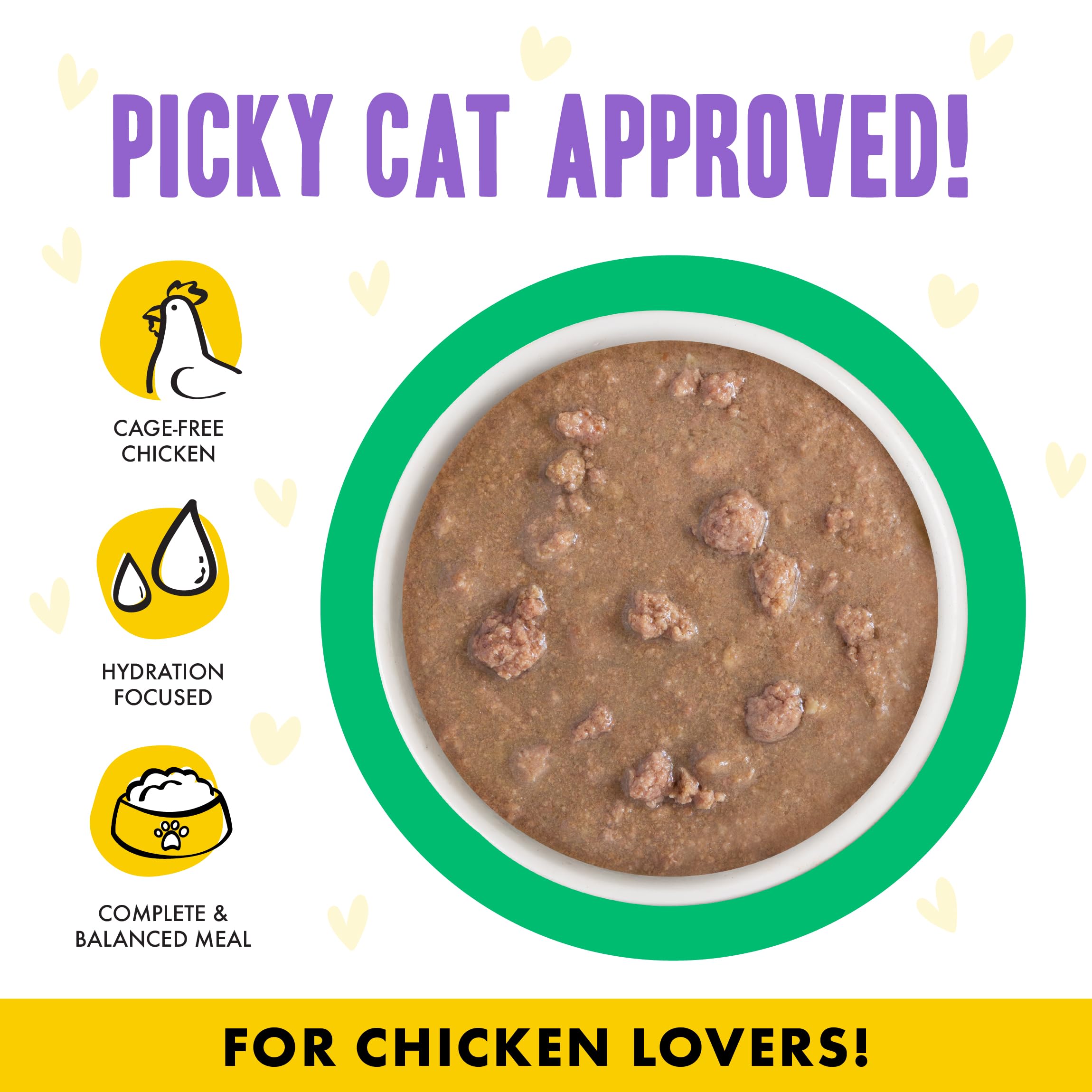 Weruva B.F.F. OMG - Best Feline Friend Oh My Gravy!, Chicken & Turkey Text Me with Chicken & Turkey in Gravy, 2.8oz Pouch (Pack